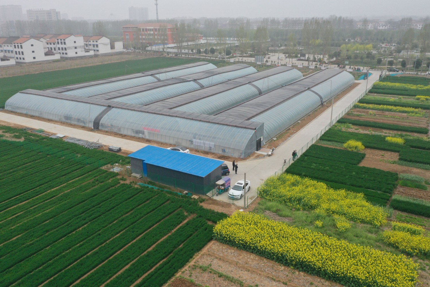 『第一书记』温县牛洼村联名呼吁驻村第一书记留任，看看因为啥