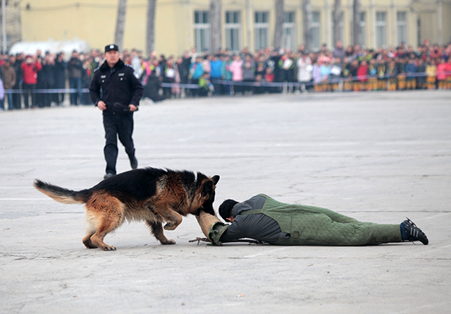 新乡警营开放日近千群众感受警营生活