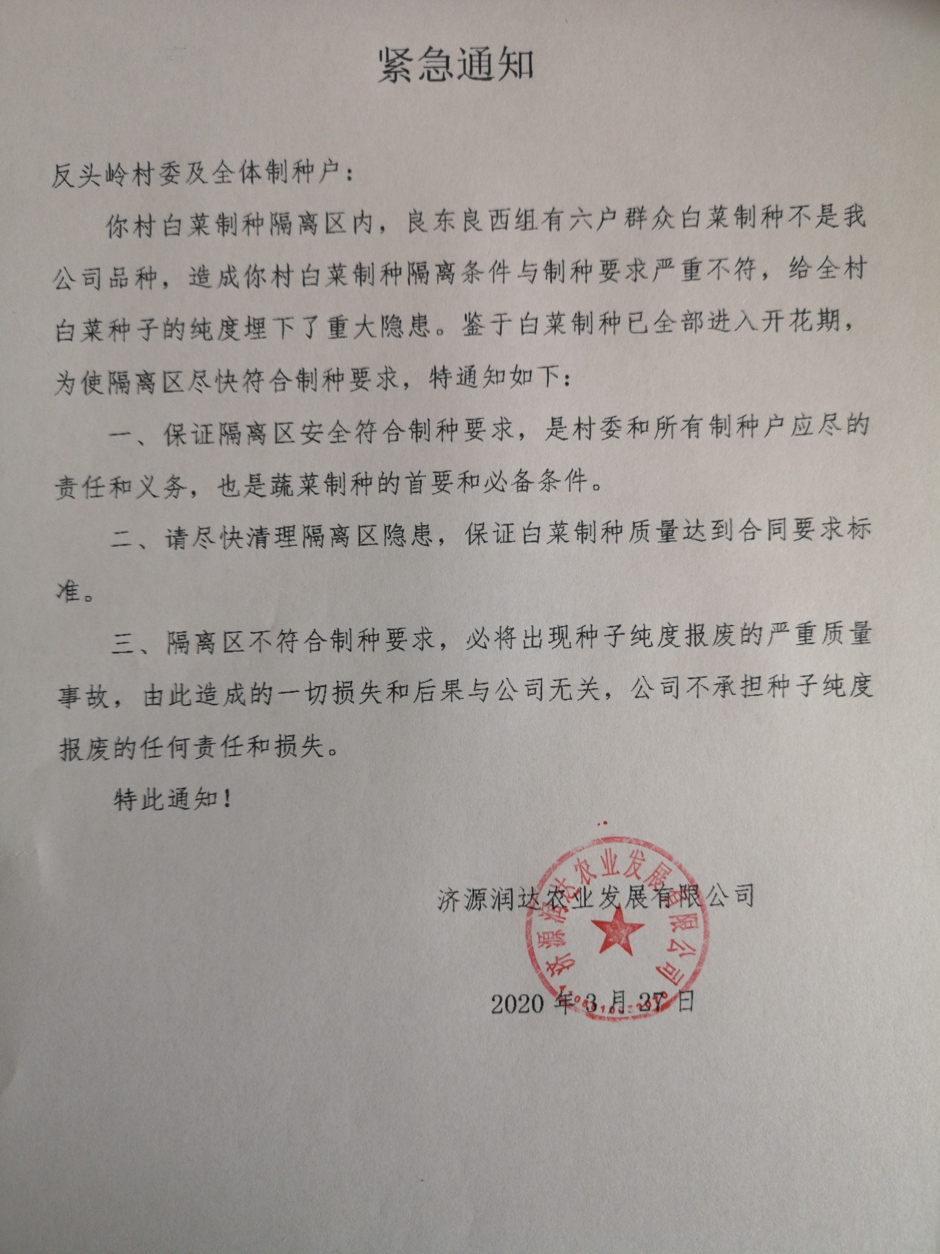 蔬菜：关注丨6户村民致全村285亩白菜制种“不合格”？