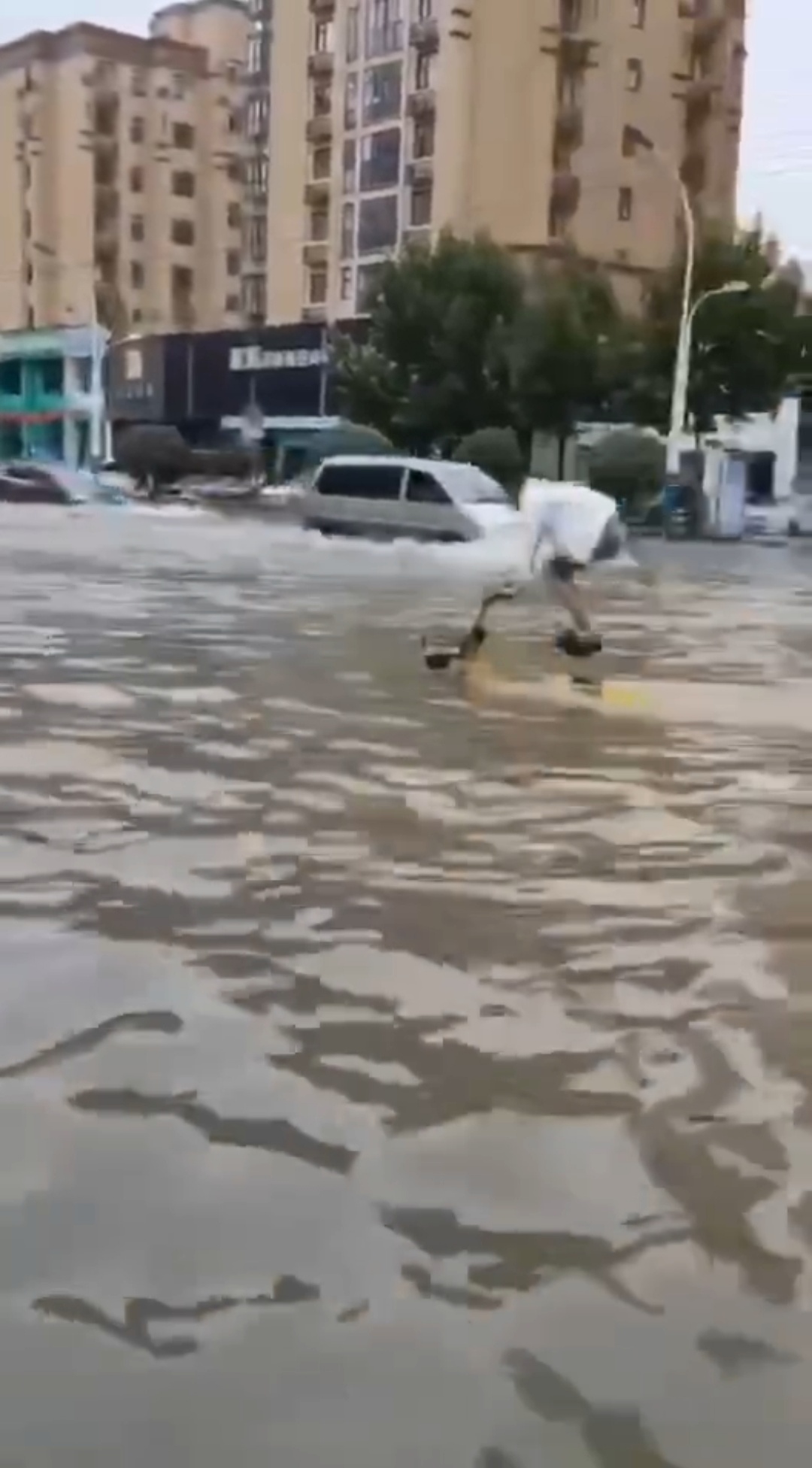 |开封市区遭遇大雨淹城，公交停运、高速关闭