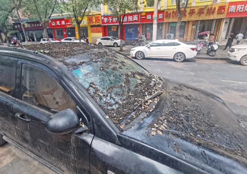 僵尸车|郑州一路边的“僵尸车”何时清走？