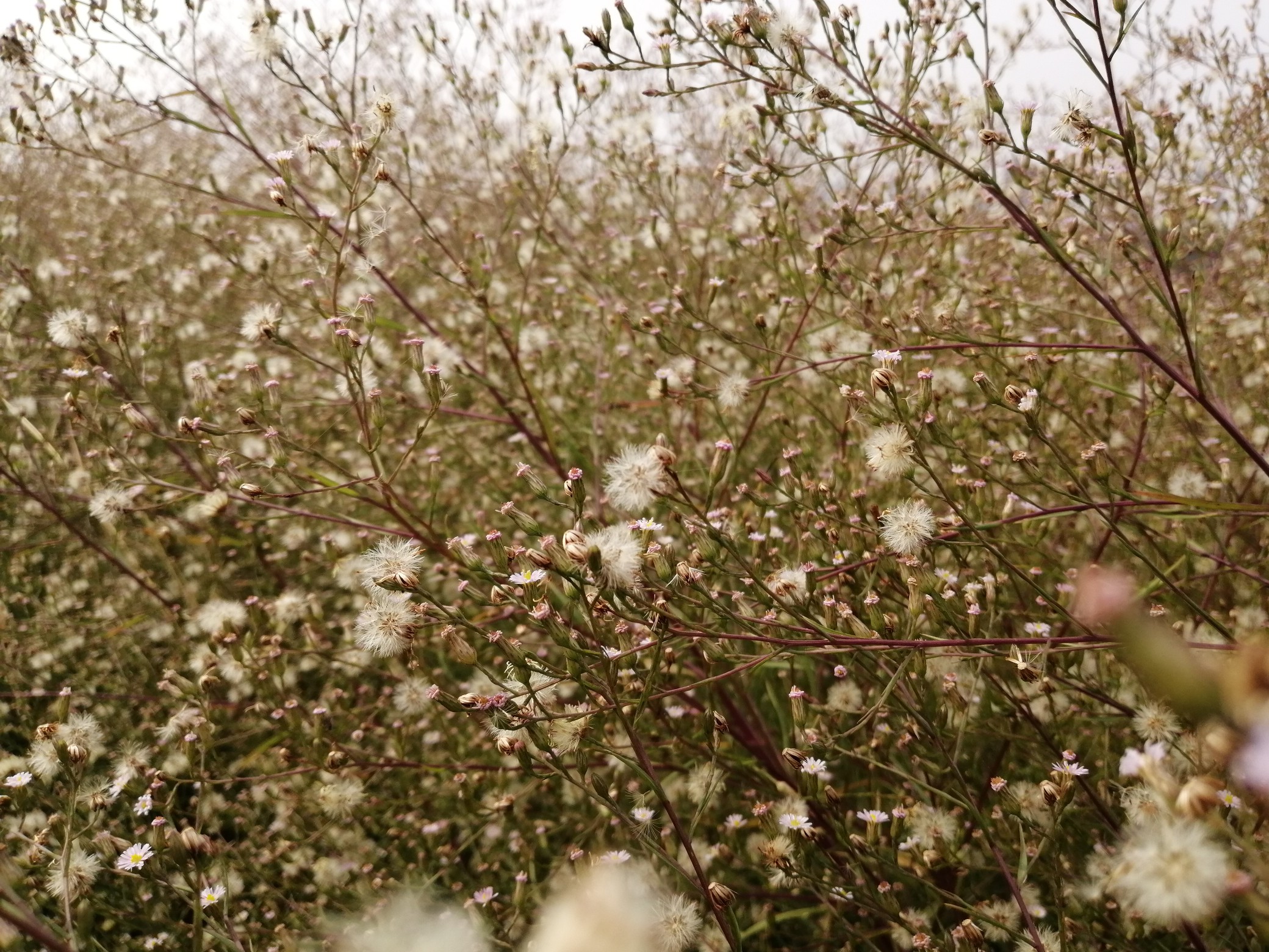 |天空今天咋变蓝了？ 最低气温已跌至10℃以下