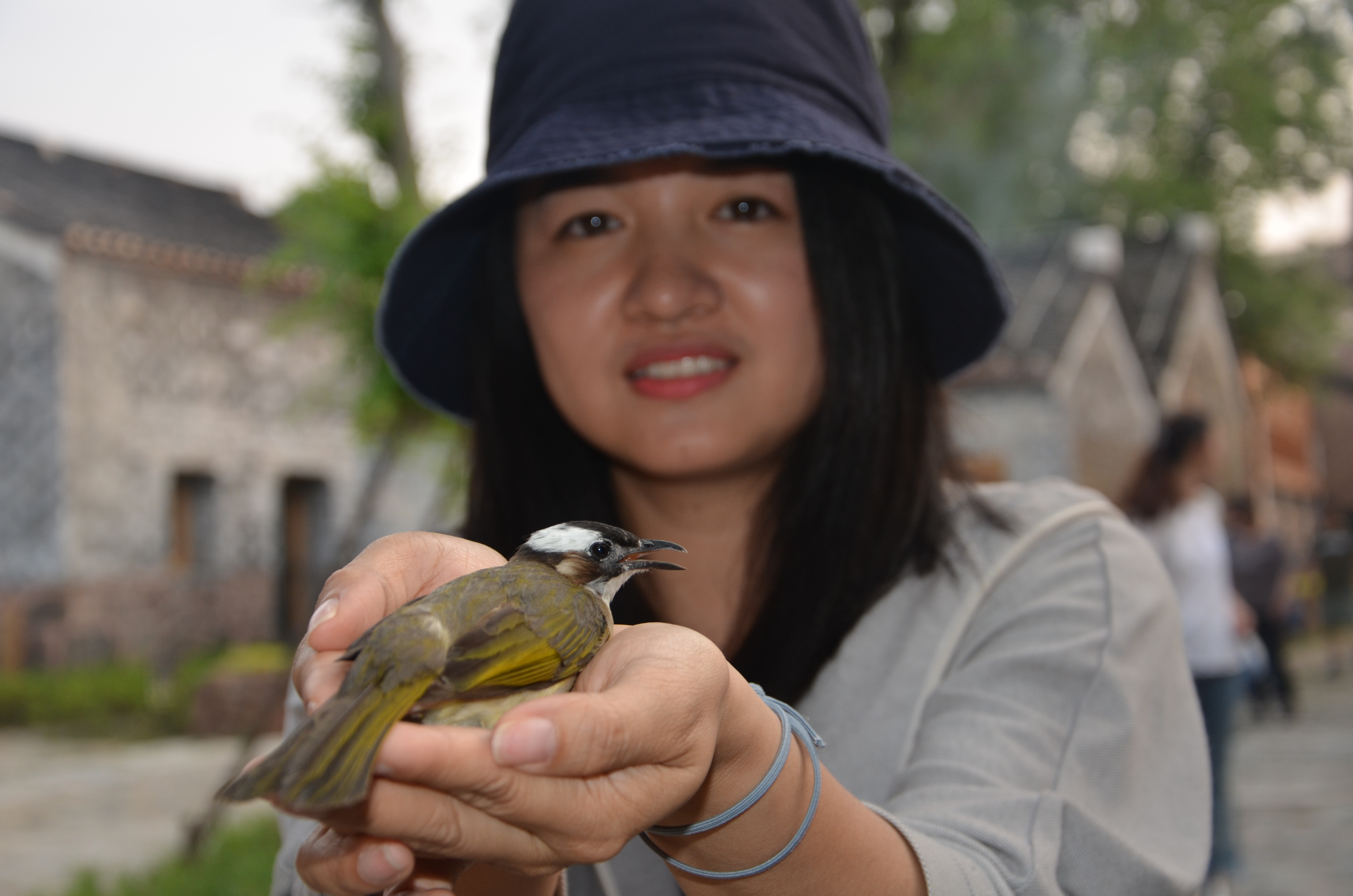 微信图片_20180518004303