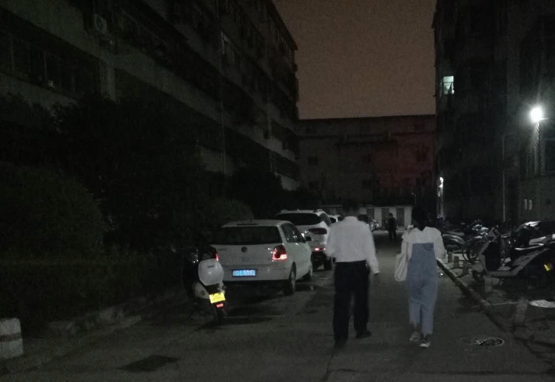 狗|女子凌晨下班回家发现门洞口有大狗把守，吓得撒腿就跑..…