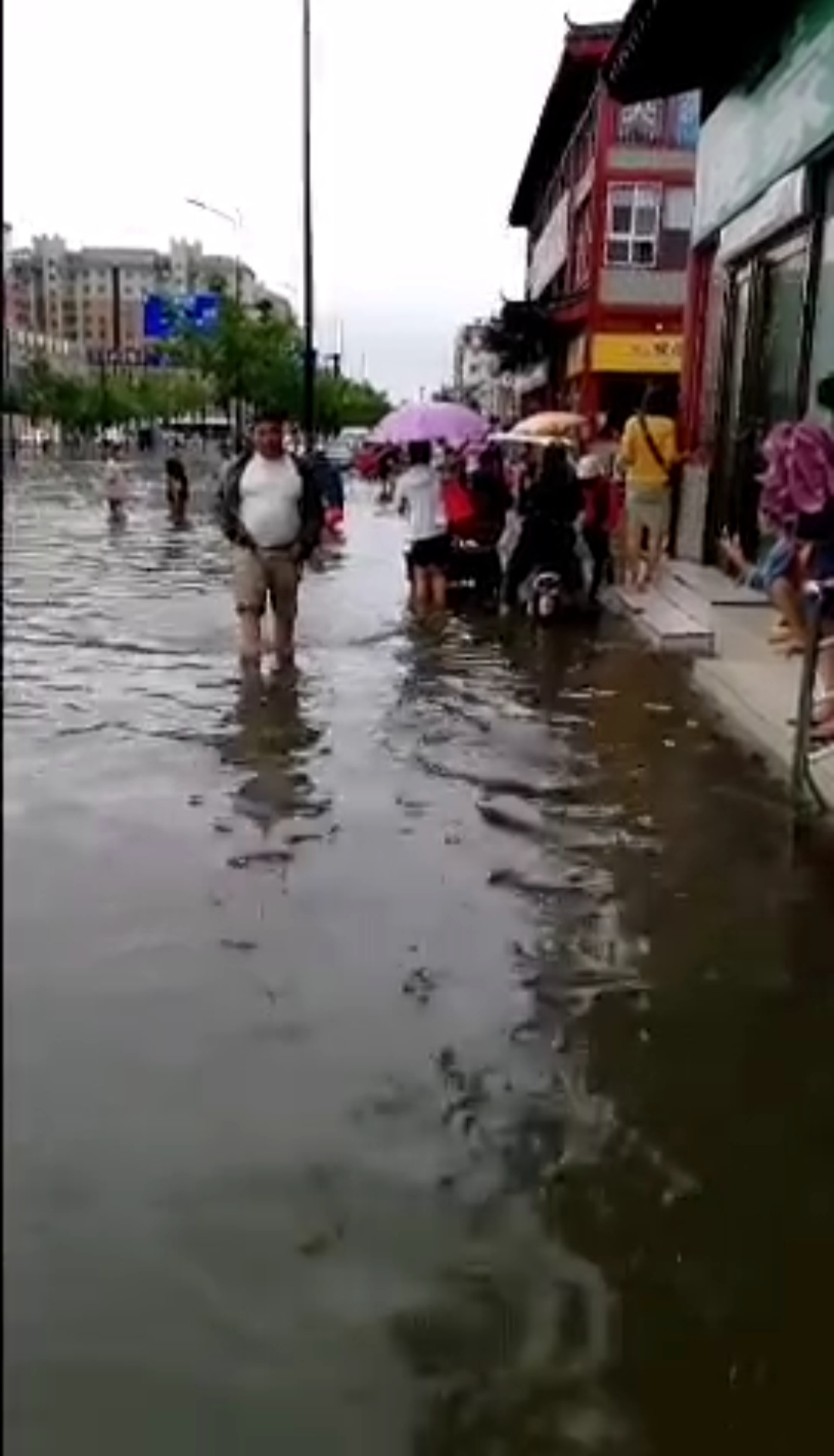 |开封市区遭遇大雨淹城，公交停运、高速关闭