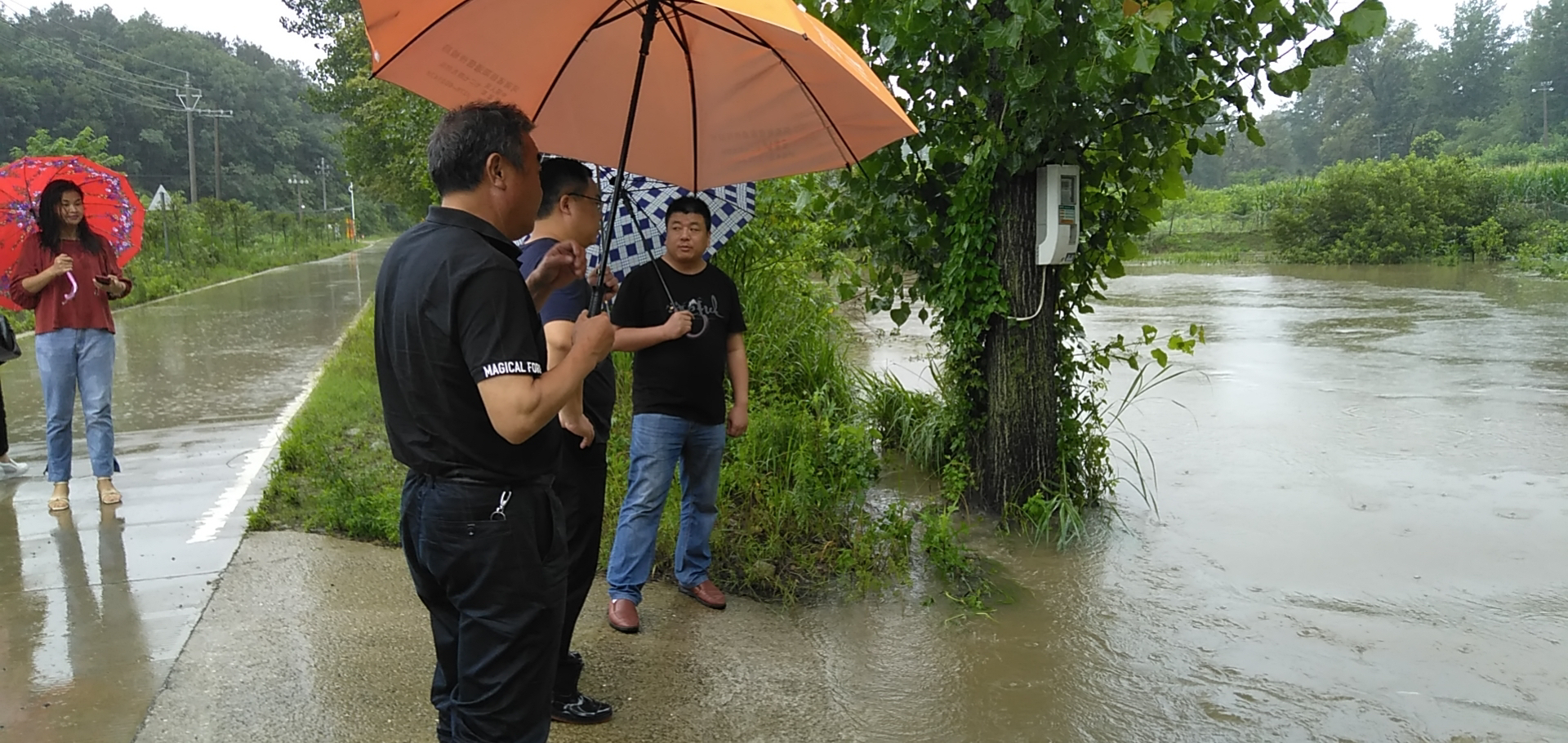 信阳|先旱后涝 ，信阳大中型水库接近汛期水位， 村村组建抢险小分队
