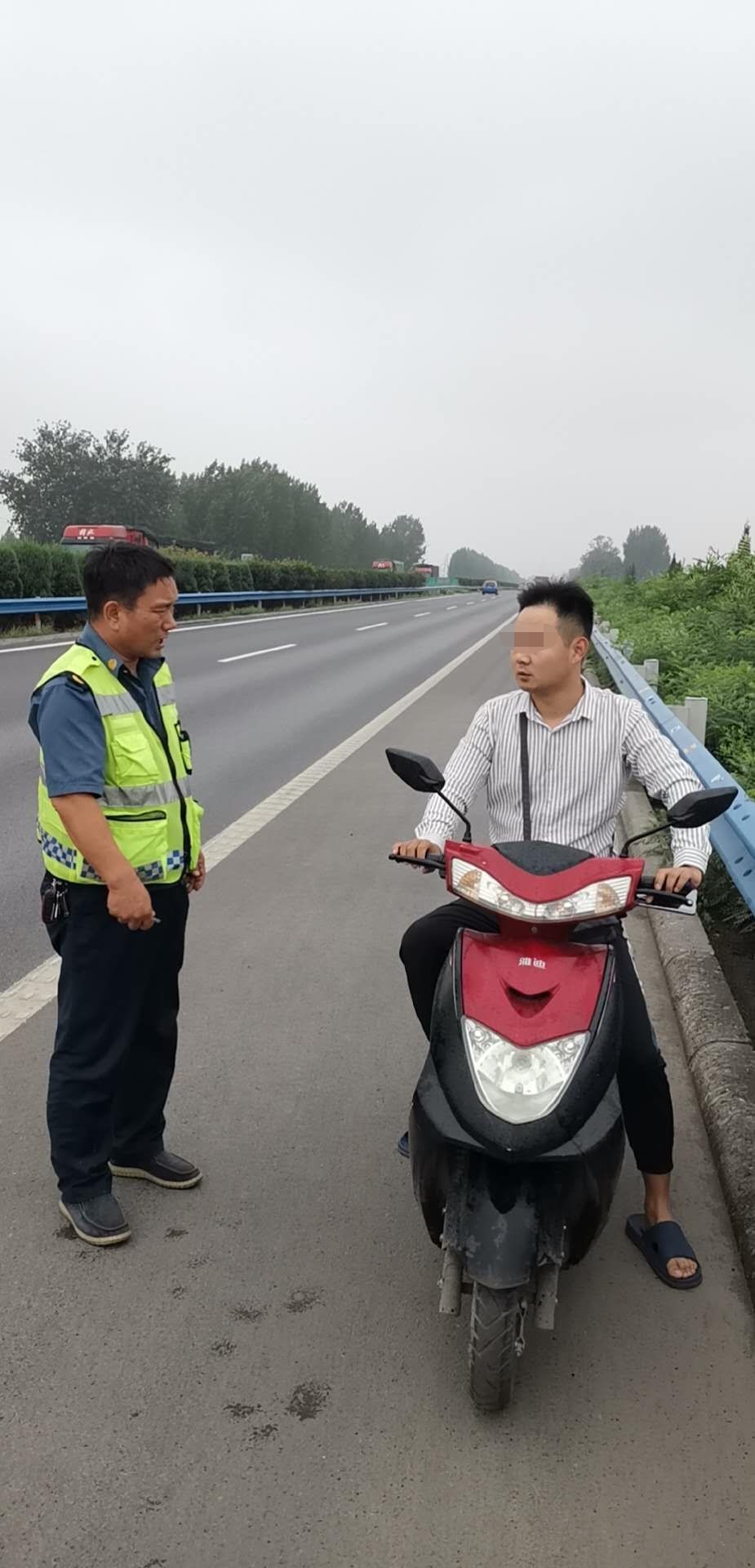|牛犊子、“二师兄”屡屡奔上郑焦晋高速路……路产人员发警示