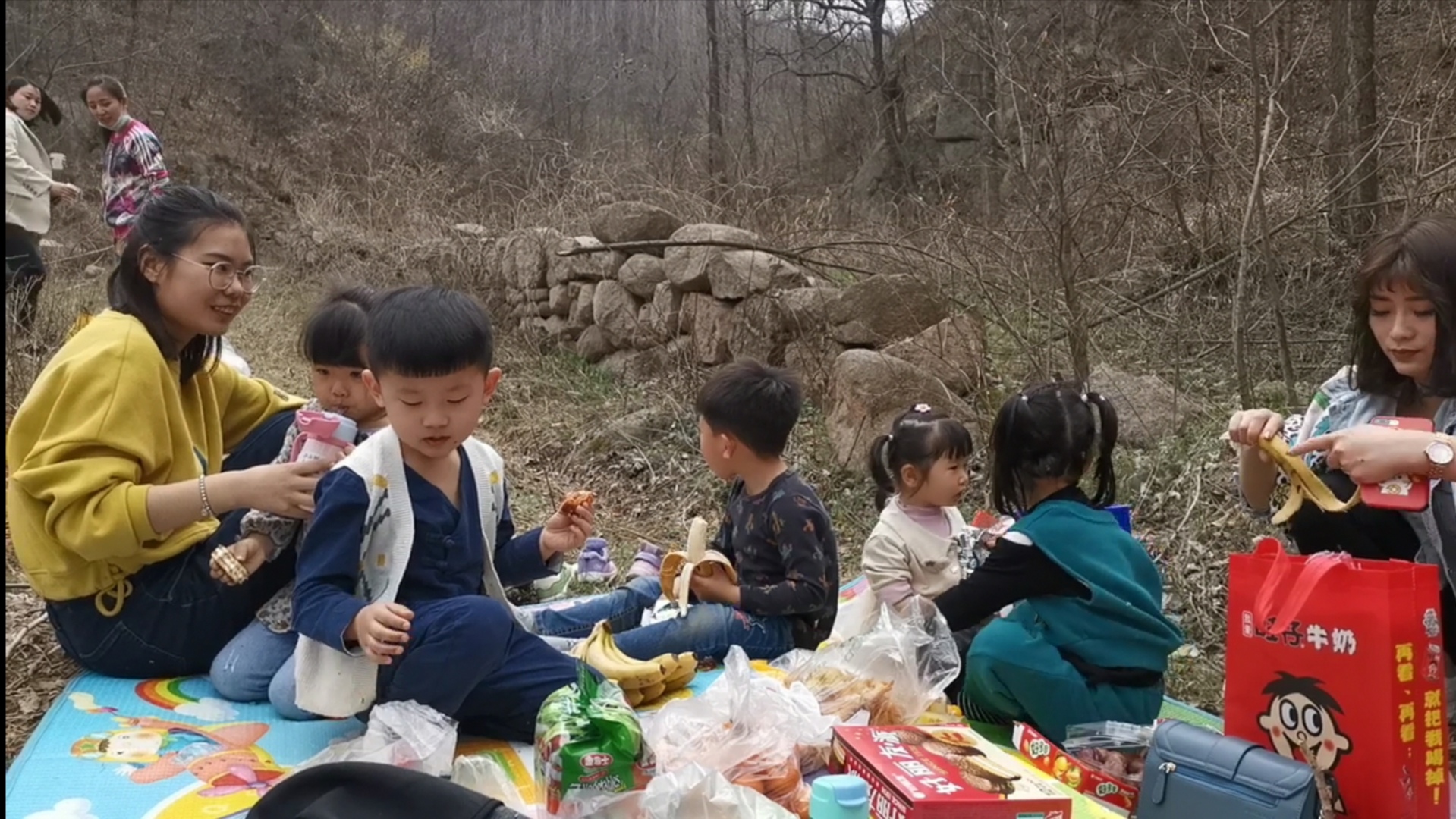 [牡丹]豫来豫自＂游＂之五丨洛阳大棚牡丹始盛开，踏青赏花市民增多