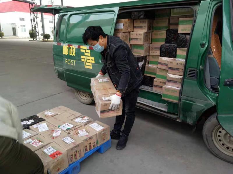逆行中的一群人商水邮政快递包裹团队