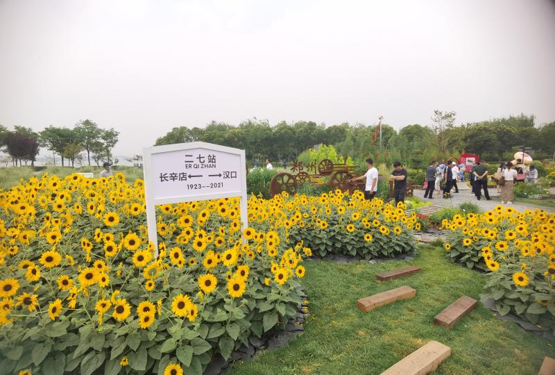 端午假期不妨来这里赏花 河南首届花境竞赛在郑州龙湖湿地公园开幕 爱河南