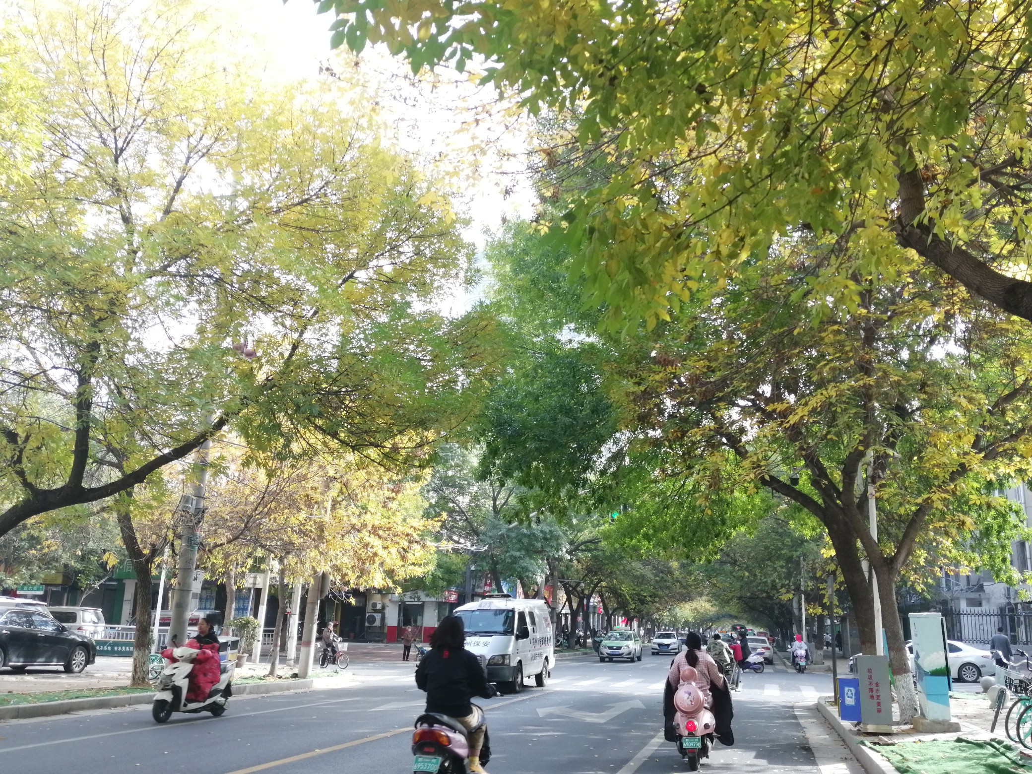 |霜降节气明天到来 冬天又近了一步