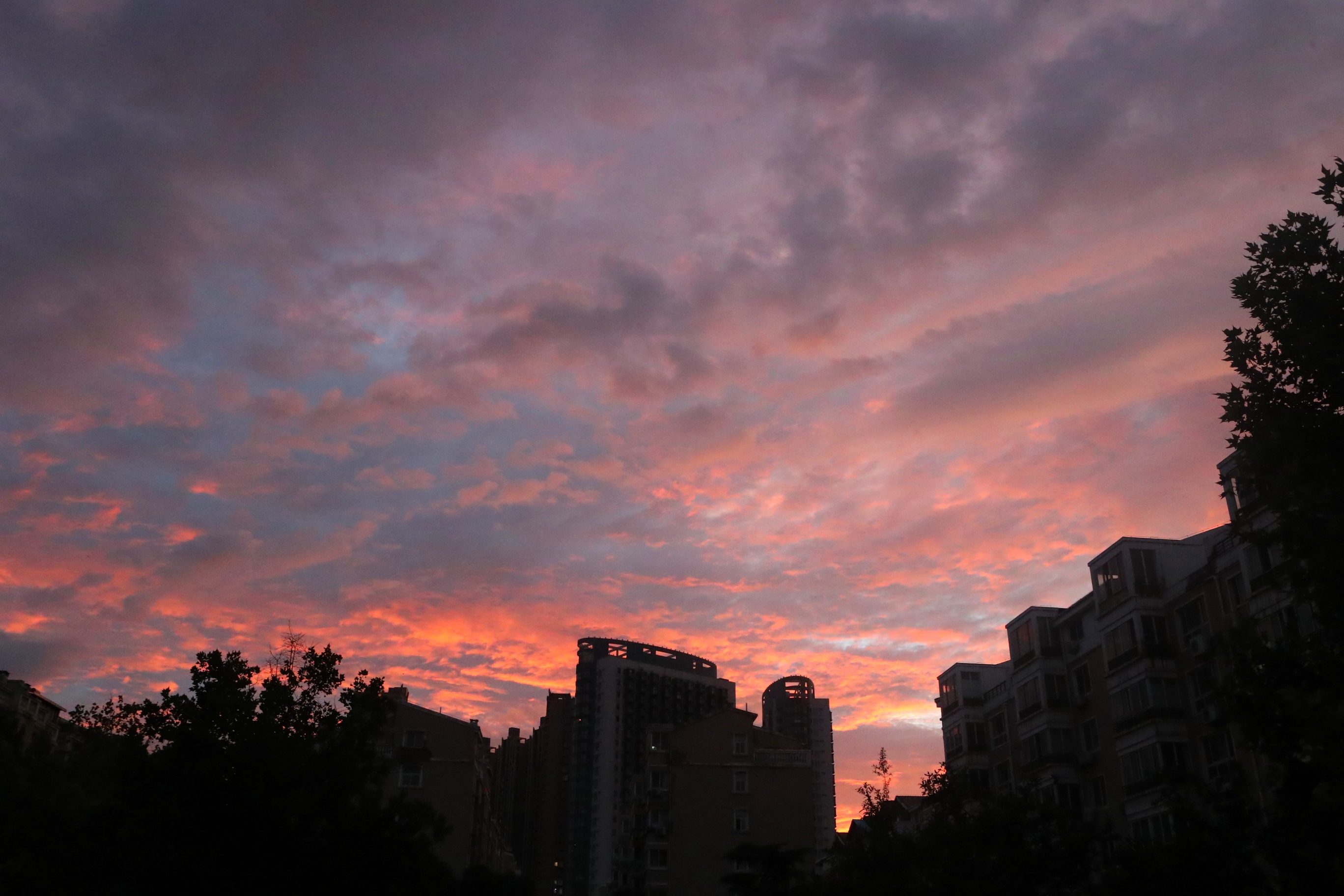 火烧云|火烧云再现郑州你看到了吗？ 阵雨、雷阵雨这两天依然“在线”