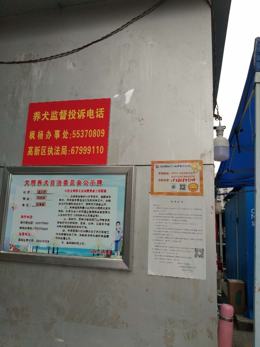 |郑州供暖实现“一城一网” 高新热力准备啥样了?