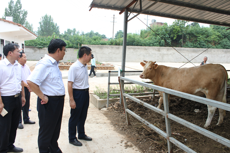郑州郑大一附院_郑大一附院 收入