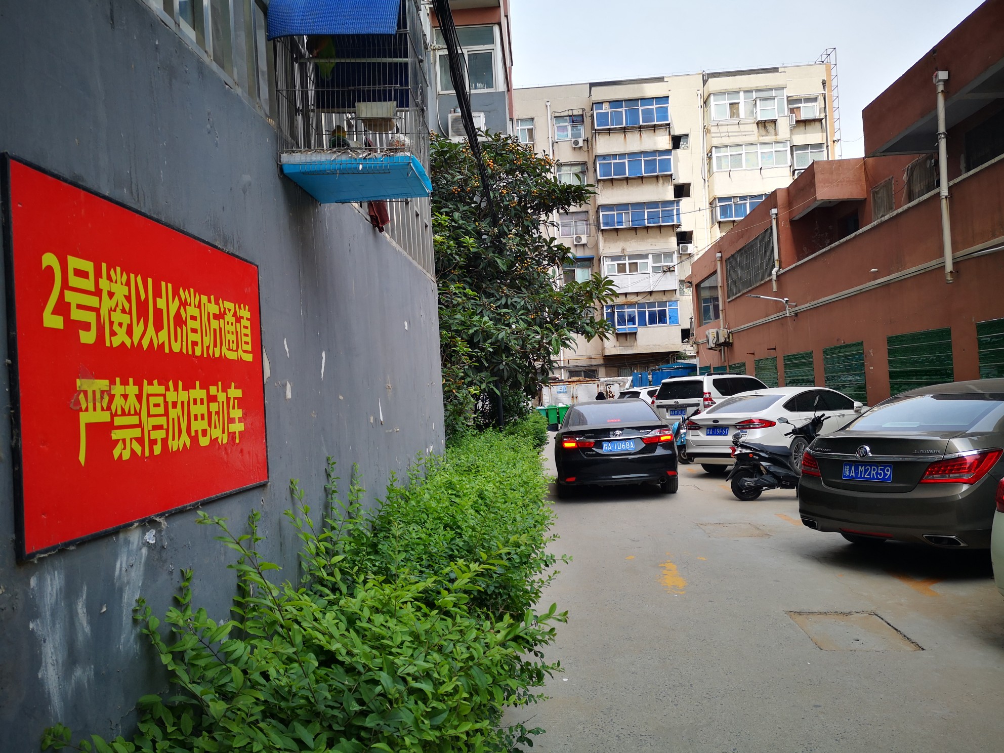 郑州万翔公寓小区里藏着一栋违建 为何10多年没拆掉？