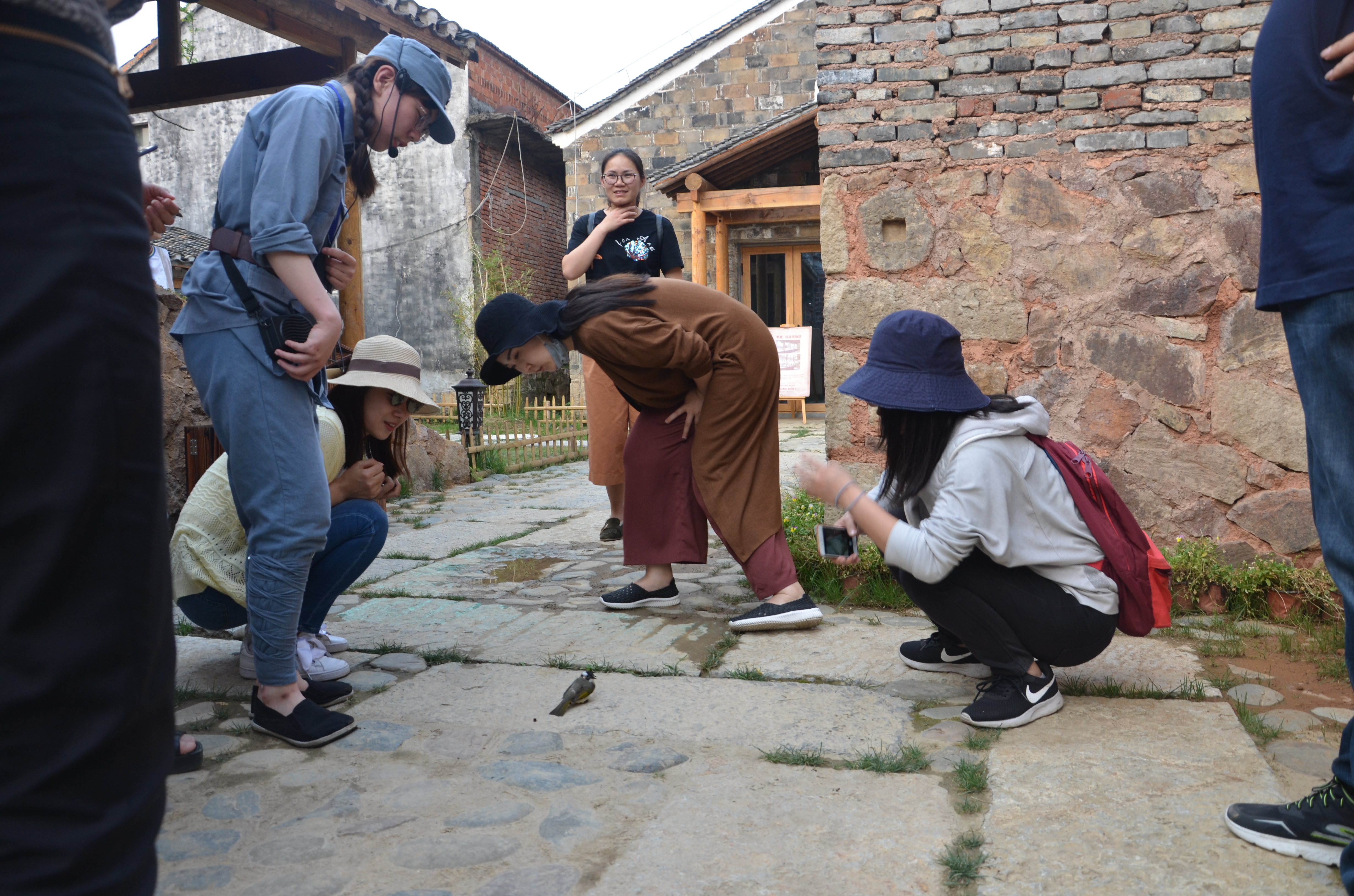 微信图片_20180518004246