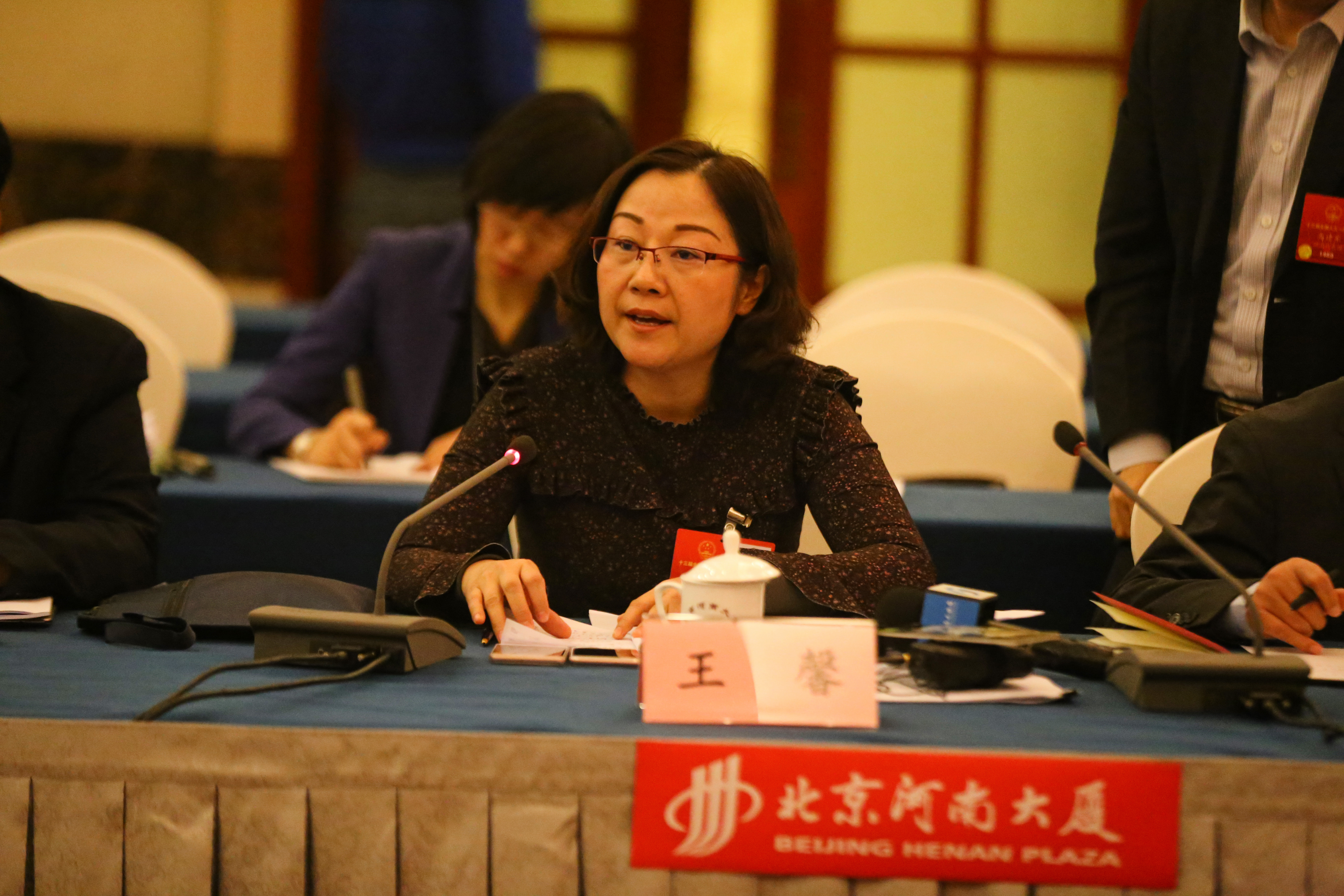 【两会时间】全国人大代表王馨:加强农村教师