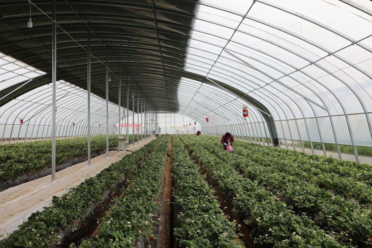 『第一书记』温县牛洼村联名呼吁驻村第一书记留任，看看因为啥