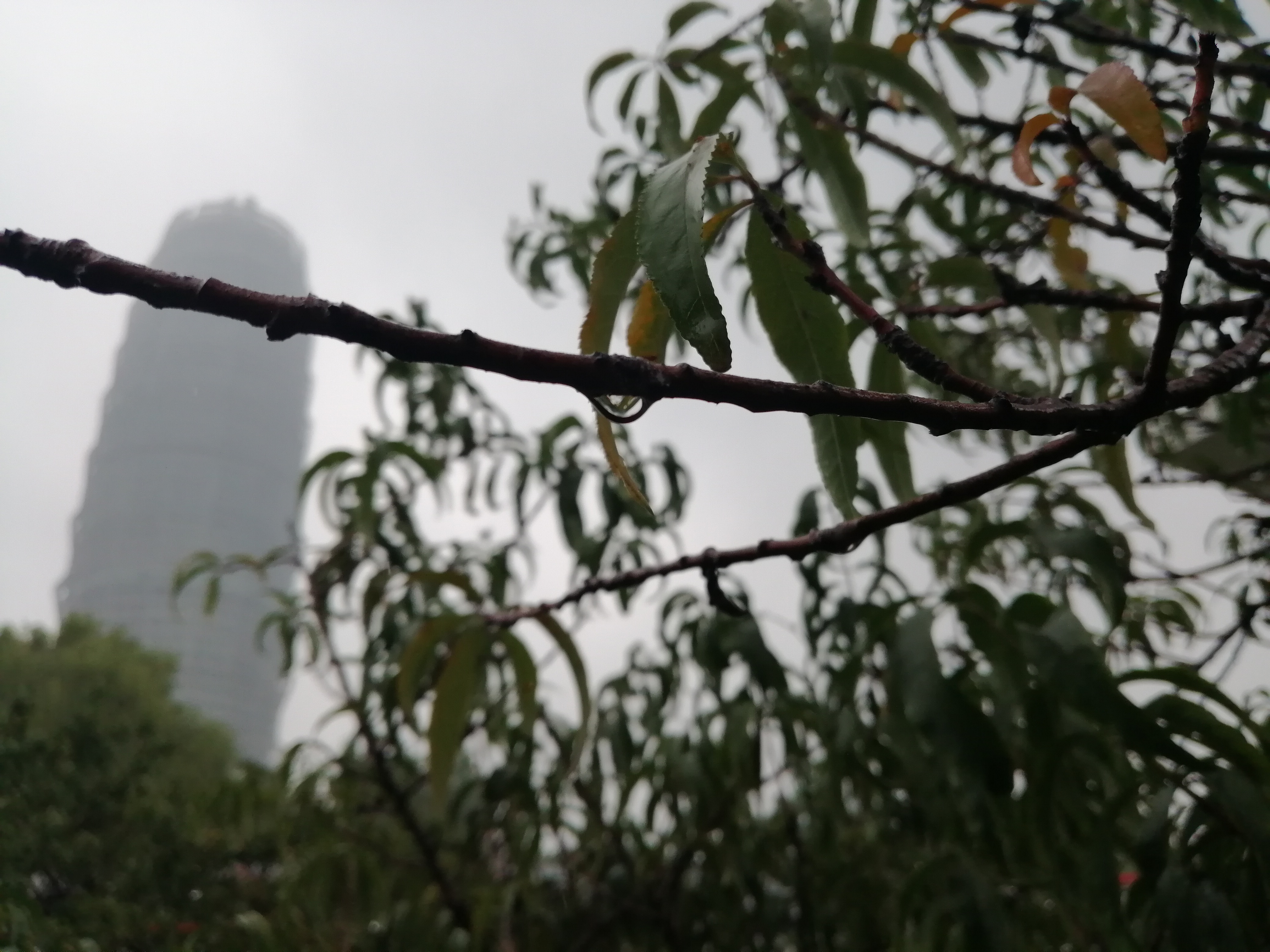 |河南明天起气温逐渐回升至20℃以上? 日最低气温同时要跌到10℃以下了