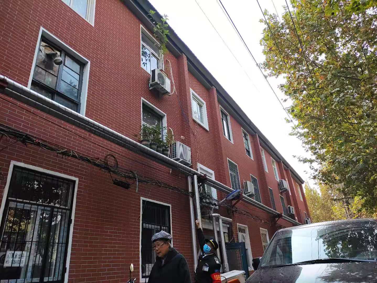 |好悬！ 这些花盆要“飞檐走壁”？