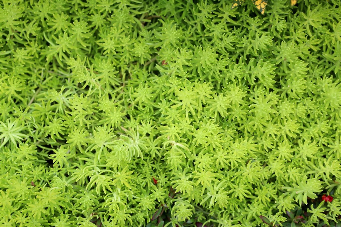 |周一到周四郑州连阴雨? 周三气温下降5℃到6℃