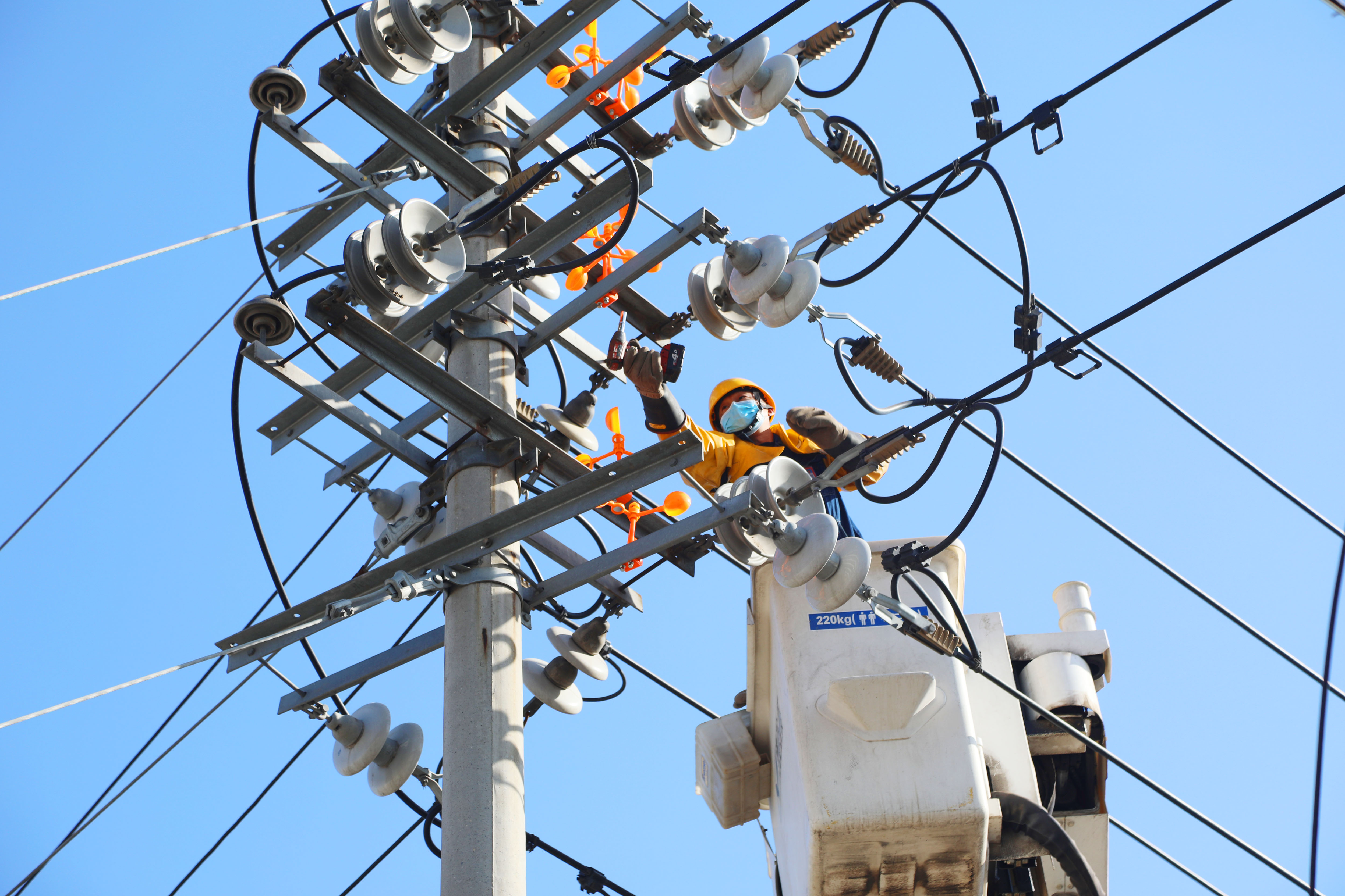 『供电公司』鸟妈供电线上筑巢下蛋？这家供电公司这样办