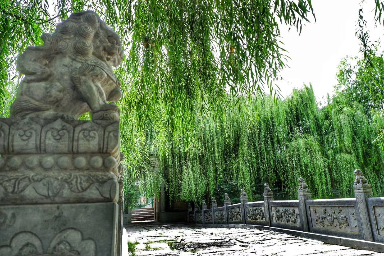 黄河|跻身全球二线城市，郑州到底是不是“暴发户”？