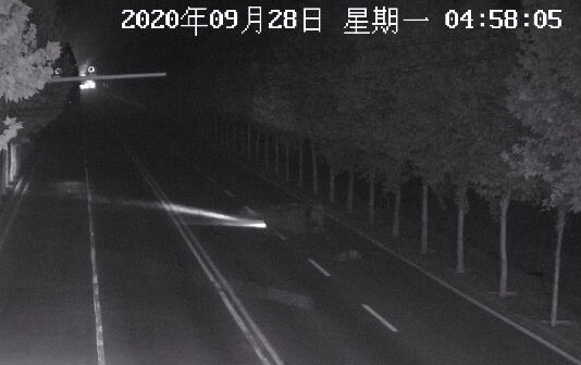 |抽丝剥茧！交警抓获撞亡8旬老人的逃逸司机