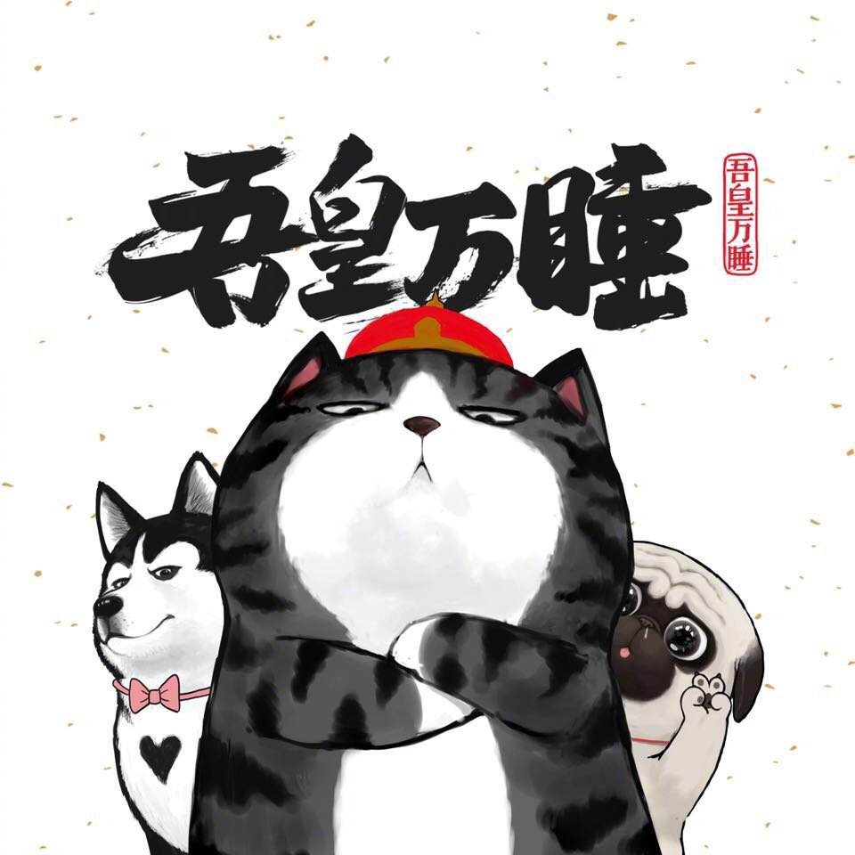 喵星人吾皇何以有趣漫画家白茶把猫狗当成朋友去塑造