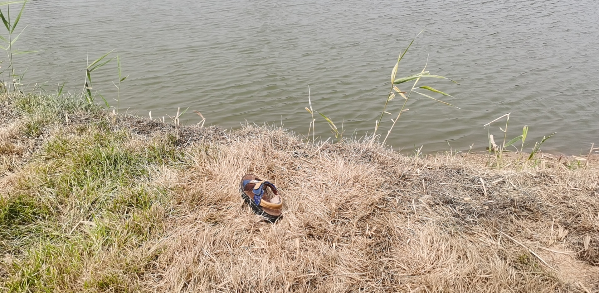 |痛心！3兄弟池塘边玩耍溺亡 其中两个为不满3周岁的双胞胎