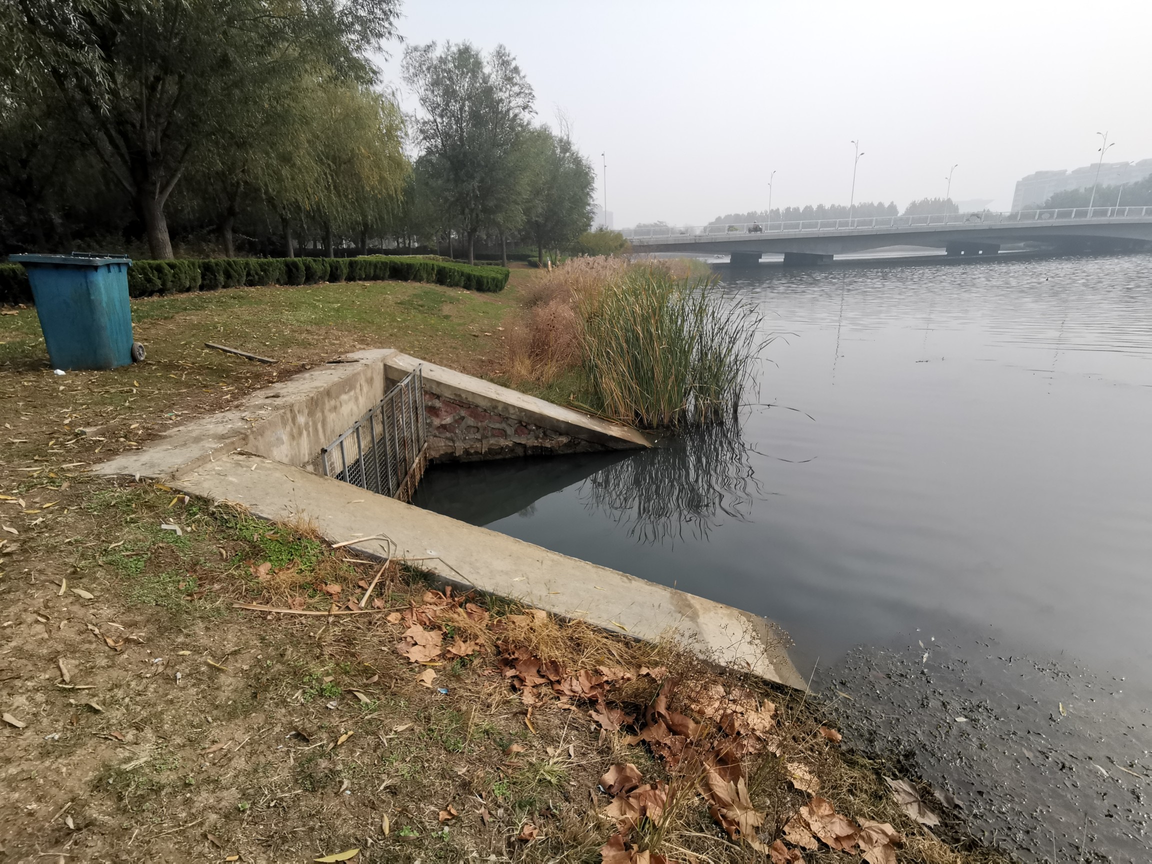 |郑州这个雨水口为啥向龙子湖内排污水？