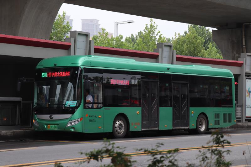 迎接开学高峰郑州快速公交高峰期发车间隔缩短至一至两分钟