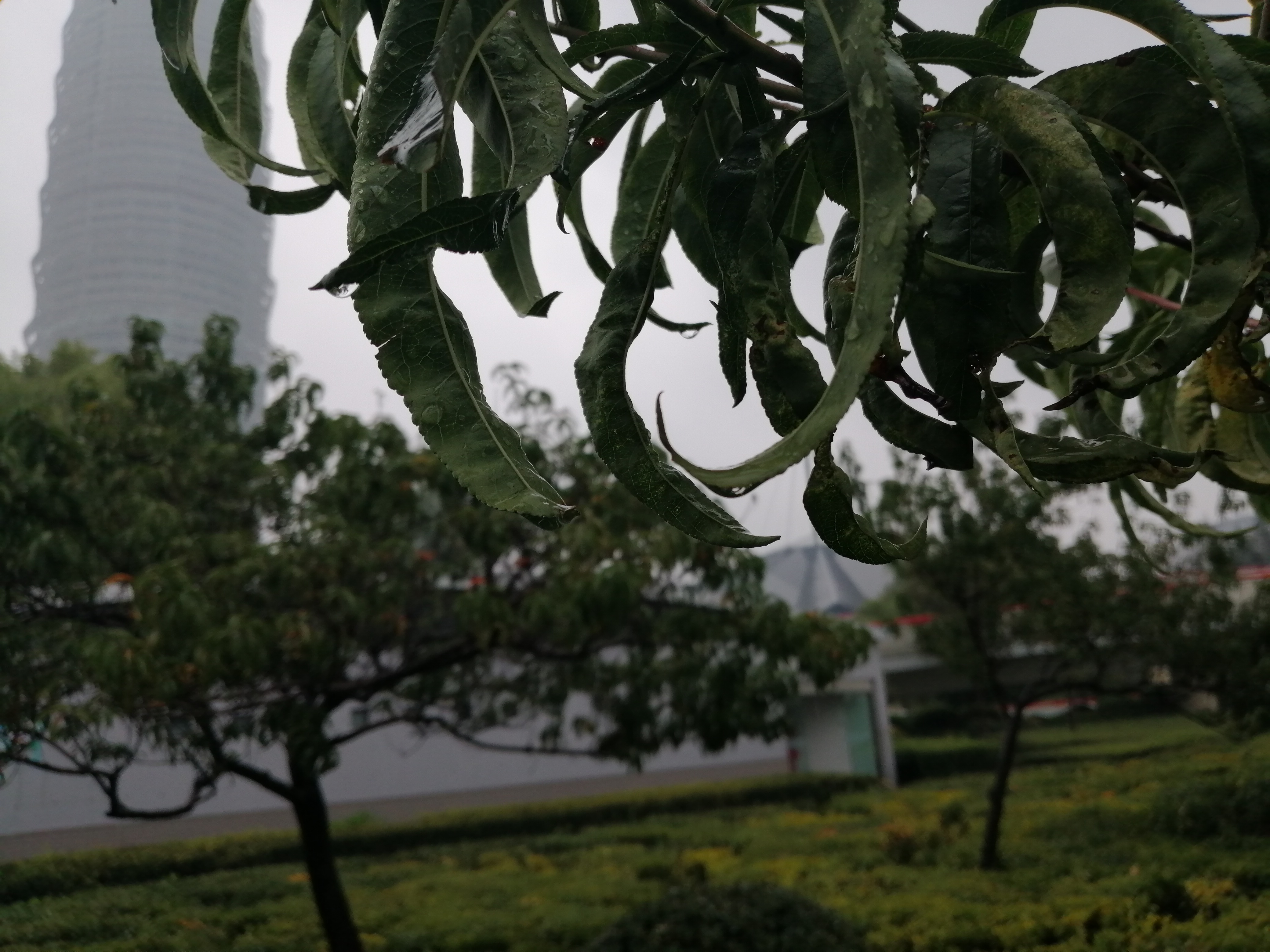 |河南明天起气温逐渐回升至20℃以上? 日最低气温同时要跌到10℃以下了