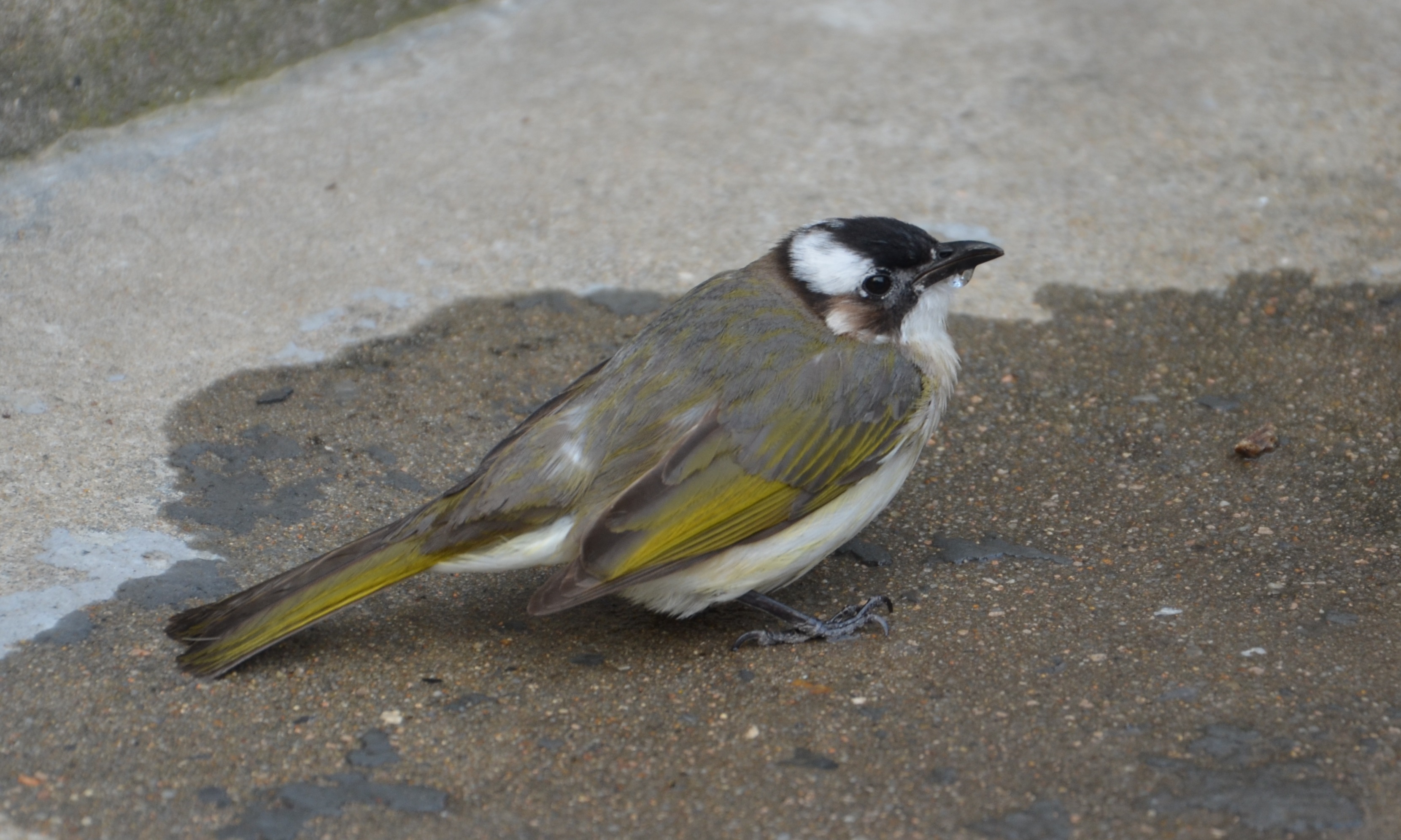 微信图片_20180518004315