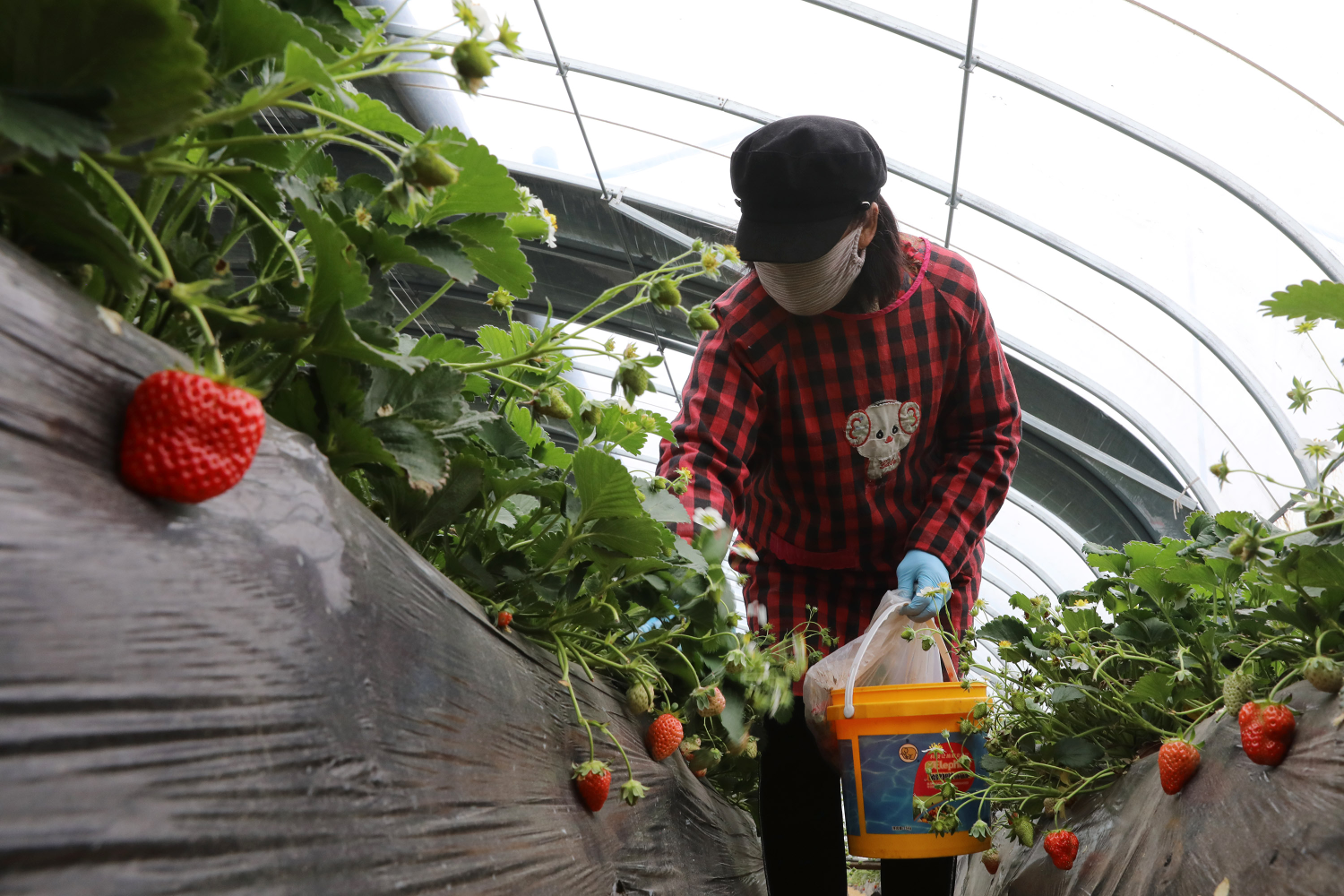 『第一书记』温县牛洼村联名呼吁驻村第一书记留任，看看因为啥