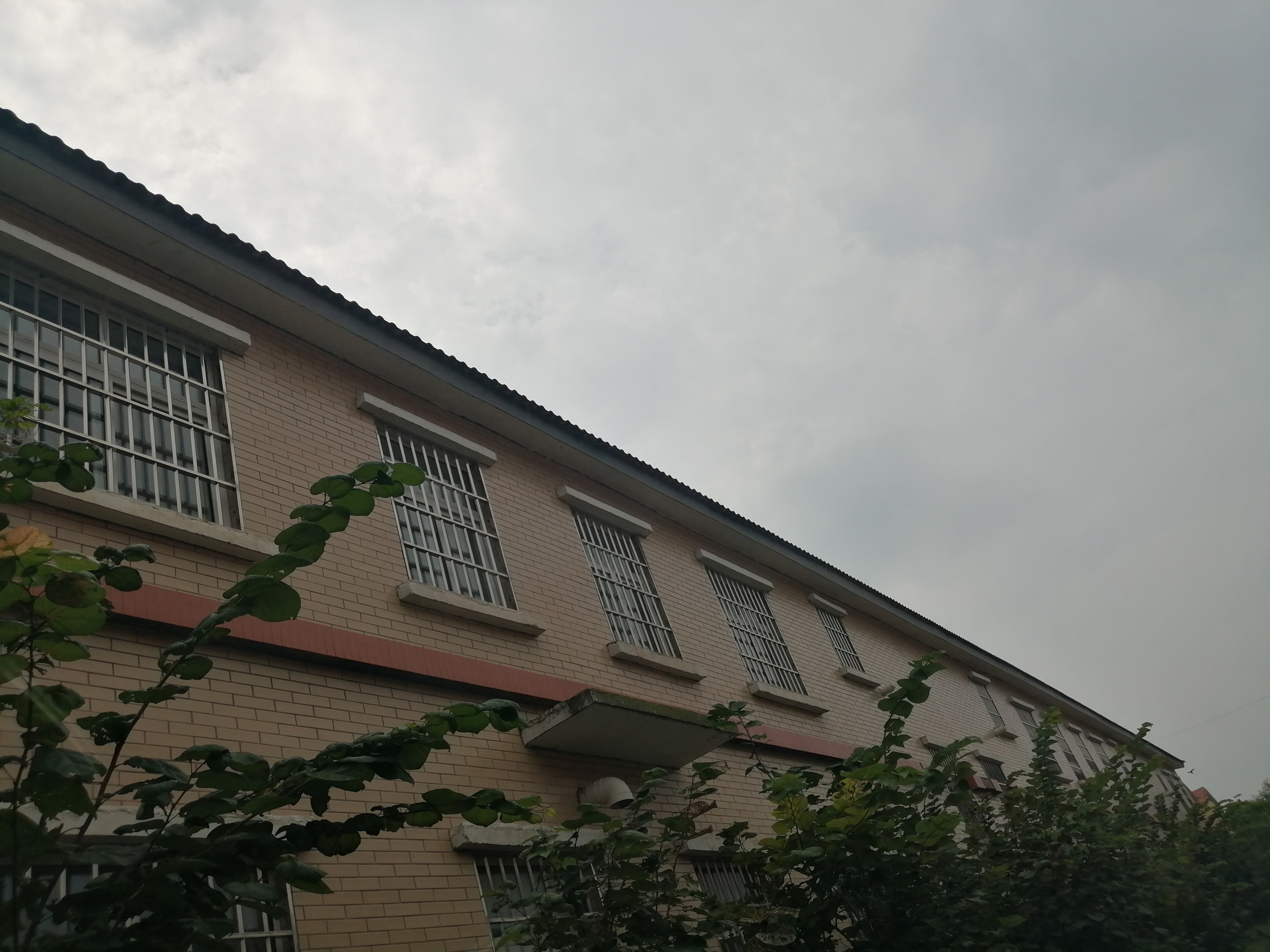 天气|天色又阴沉，降雨又要来？河南高温下周滚滚来！