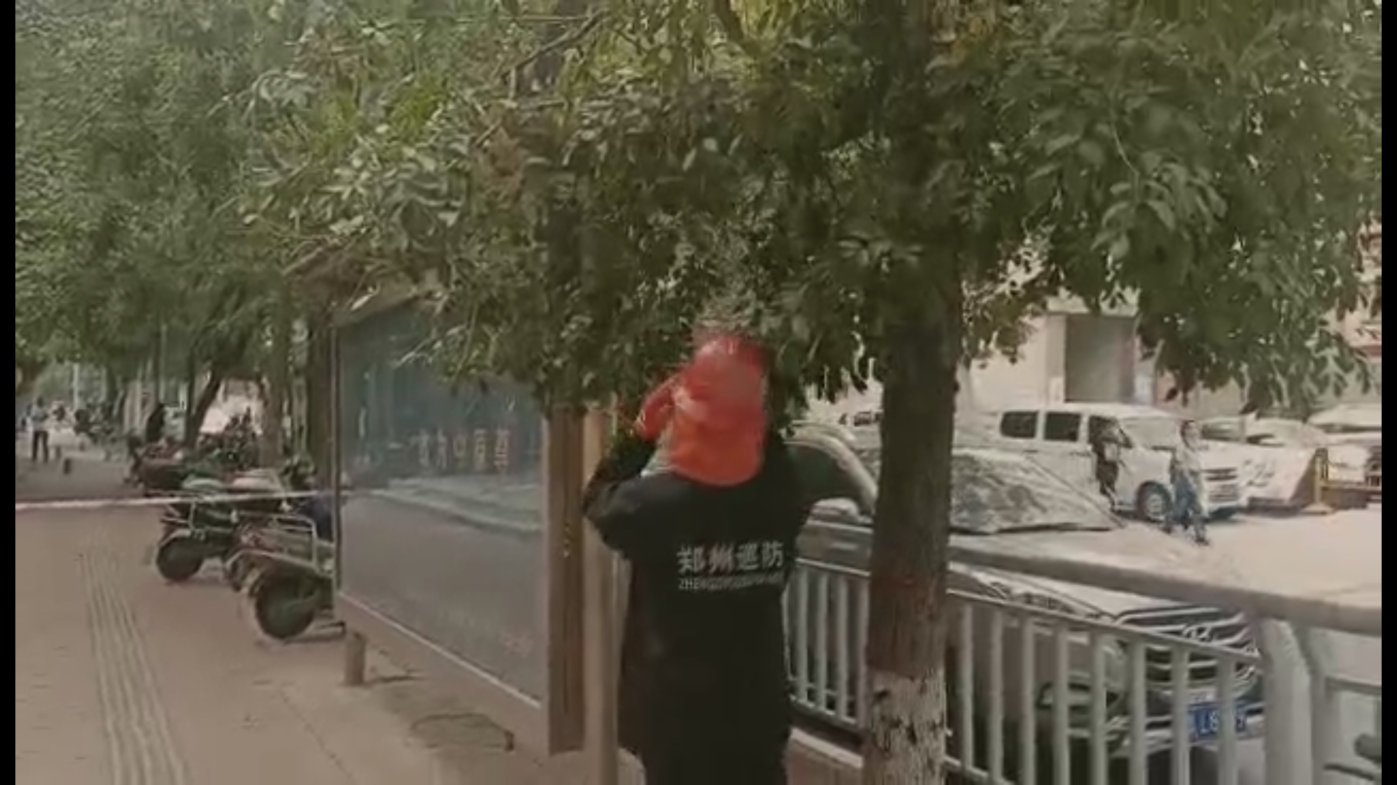 马蜂|马蜂在公交站牌旁“安家” 乘客频频受惊吓