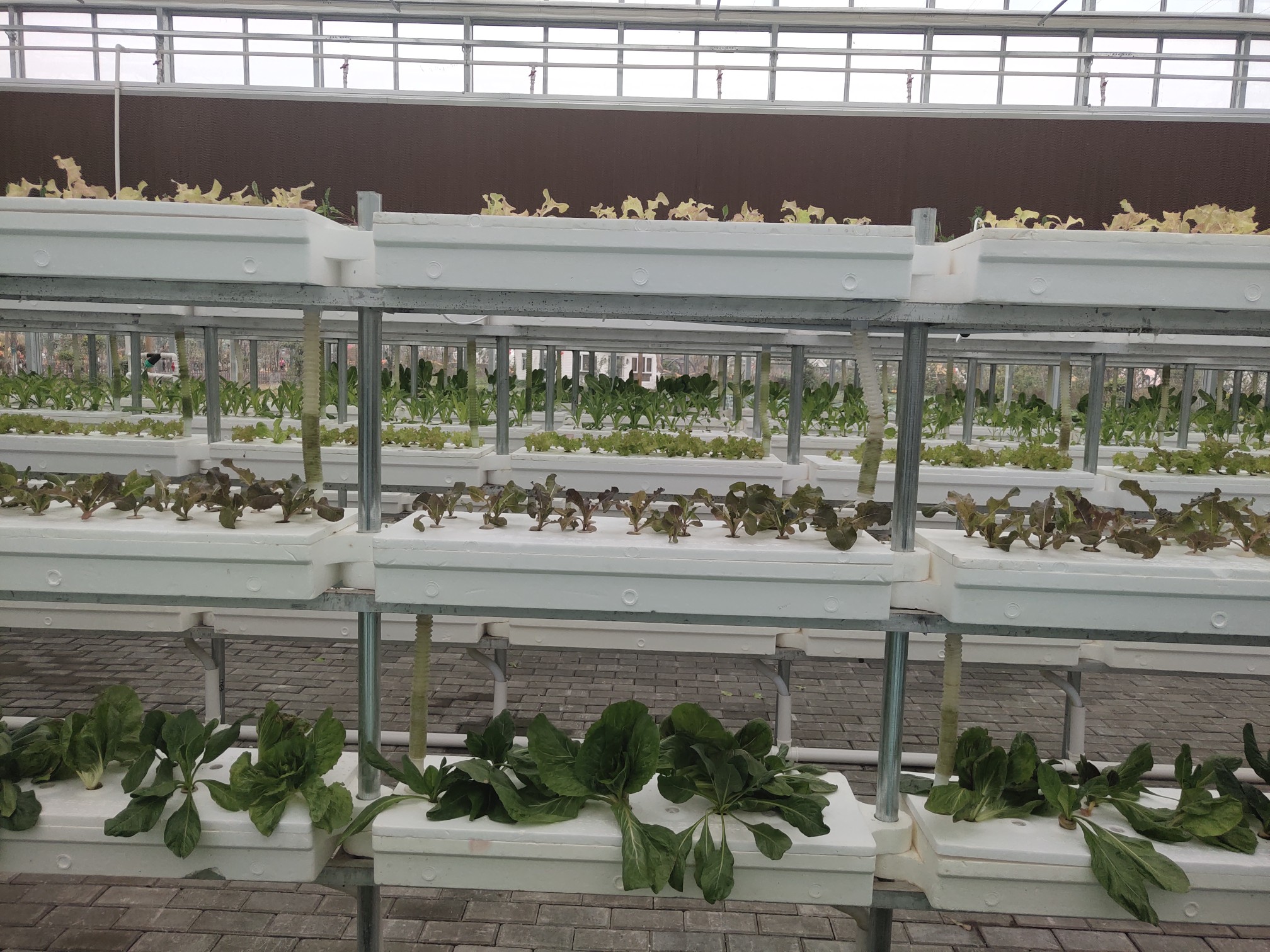 农业|2020年中国农民丰收节河南省主会场场馆都长啥样？快来看！