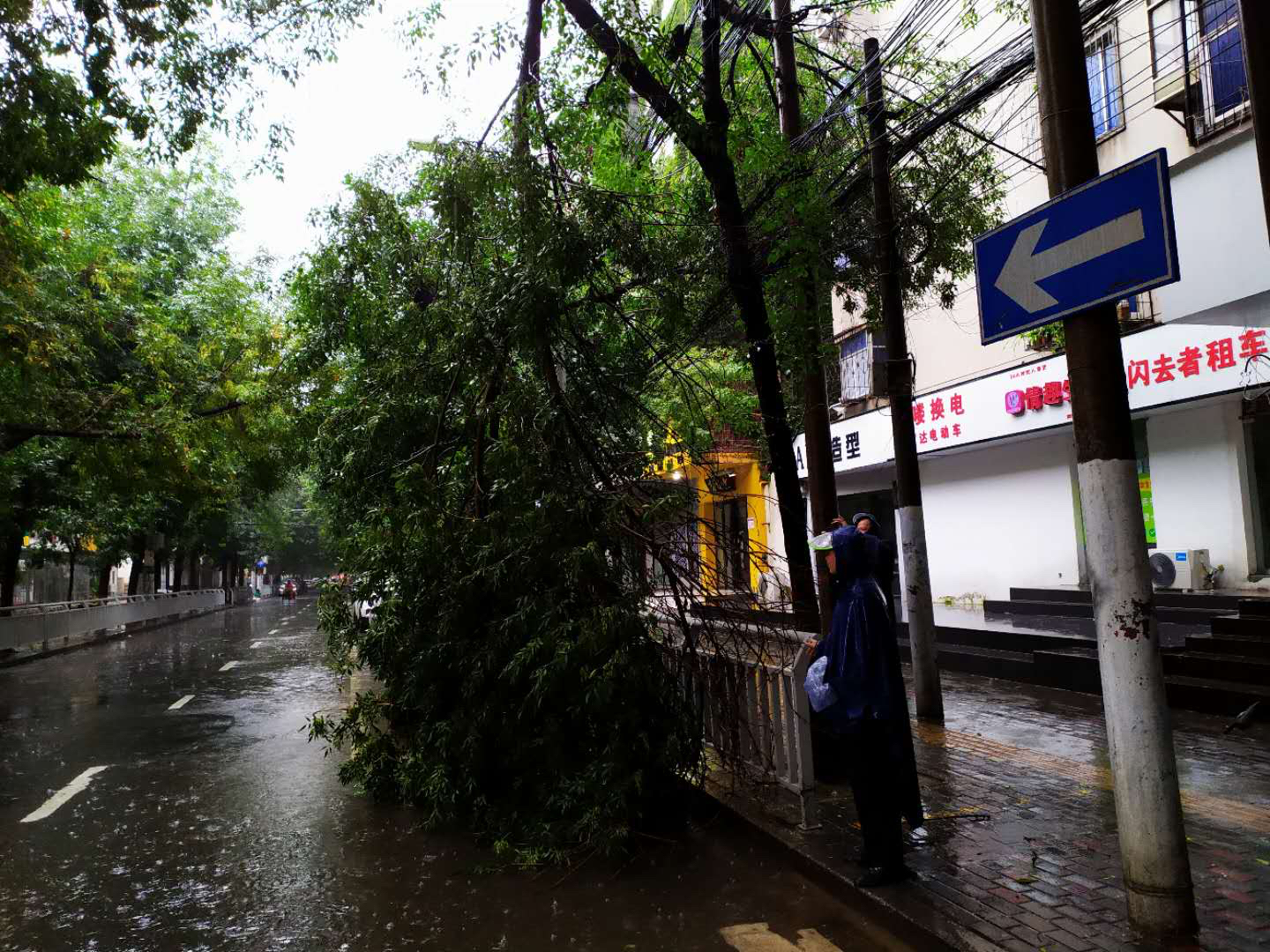 交通|大雨下个不停，树枝断裂频发生！请注意避让
