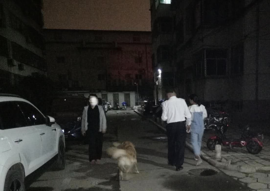 狗|女子凌晨下班回家发现门洞口有大狗把守，吓得撒腿就跑..…