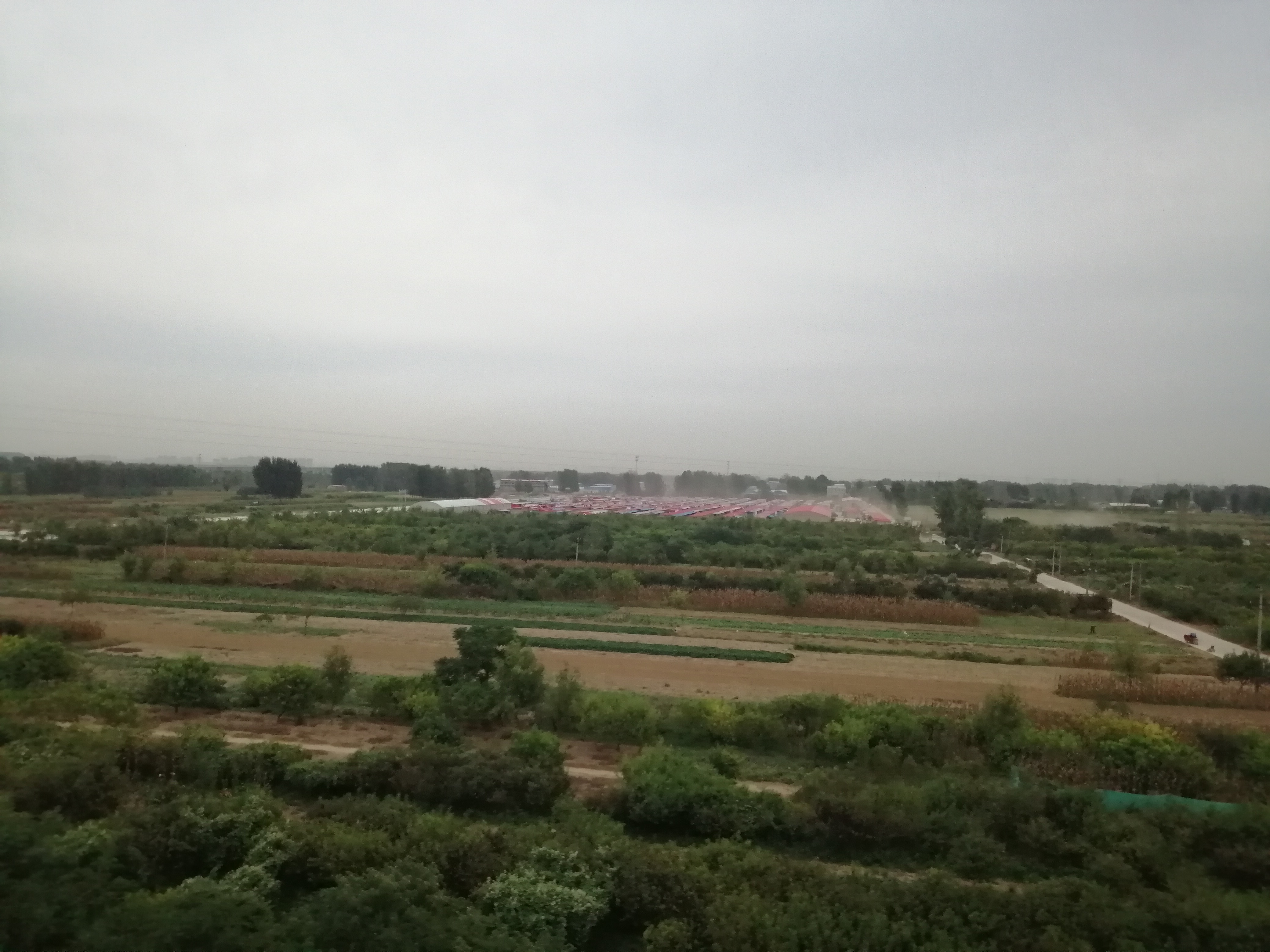 天气|郑州不是阴天就多云？ 下周“开门见雨”