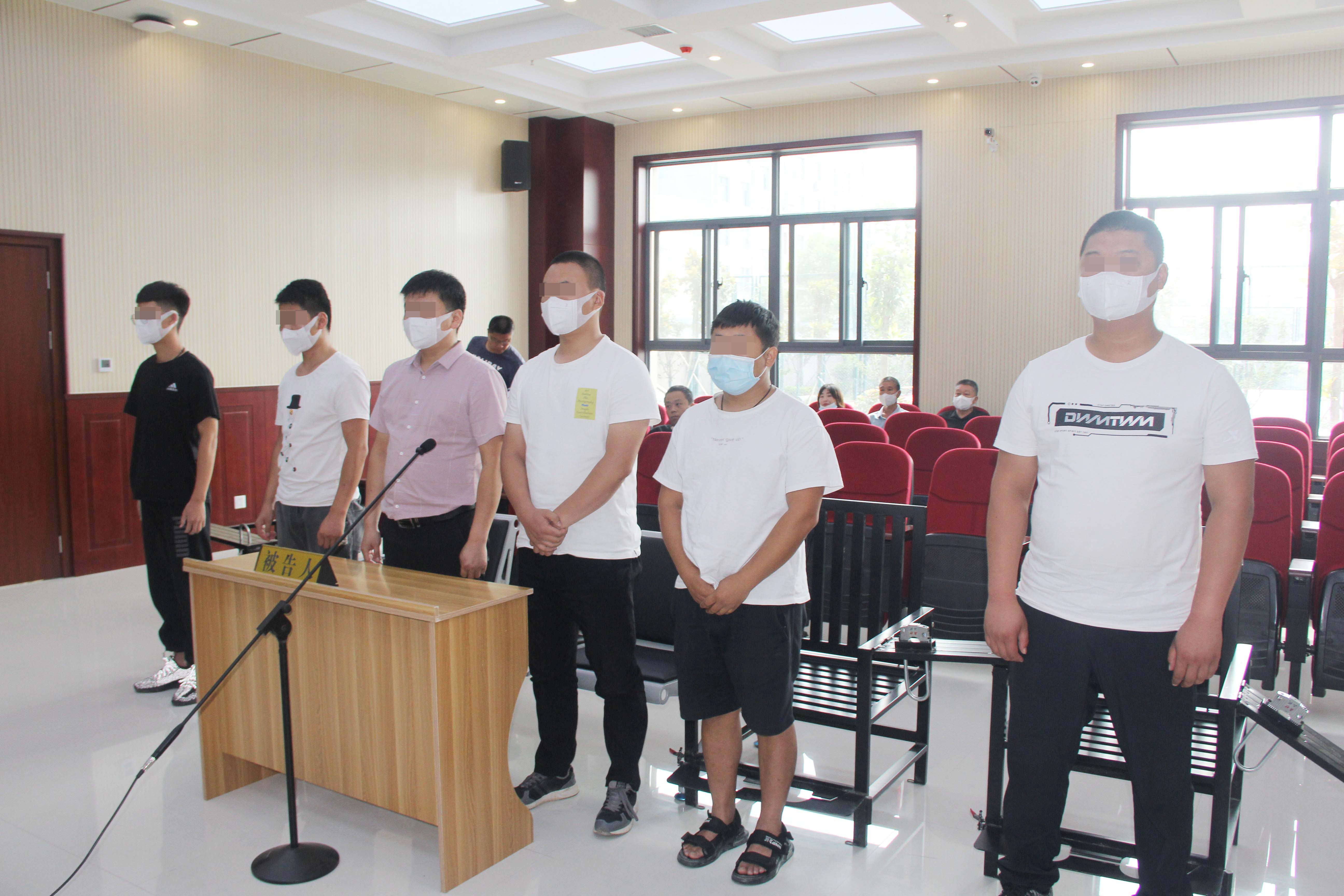 雉鸡|6名男子打野鸡尝鲜 野鸡没吃着却“吃”了官司