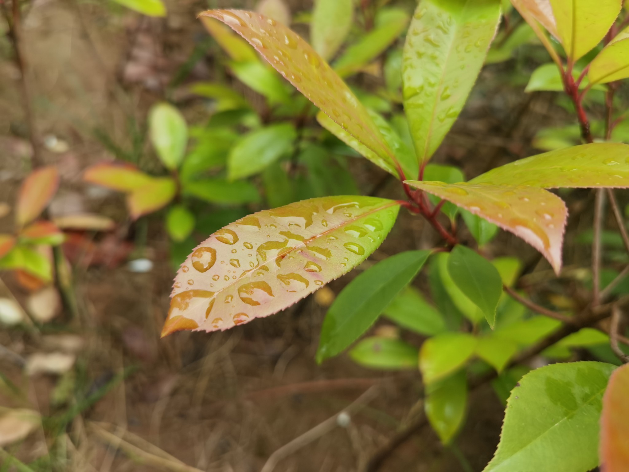 强降雨持续、局地有大暴雨！河南发布通知全力做好灾害天气防范应对工作