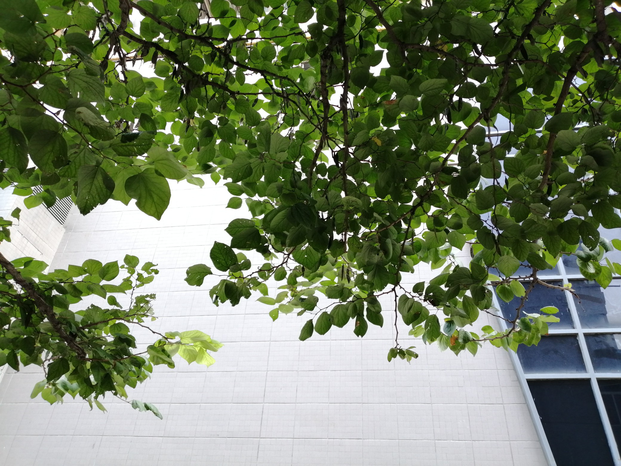 天气|秋天更进一步！今天全省大部分地区都有雨， 较小而已