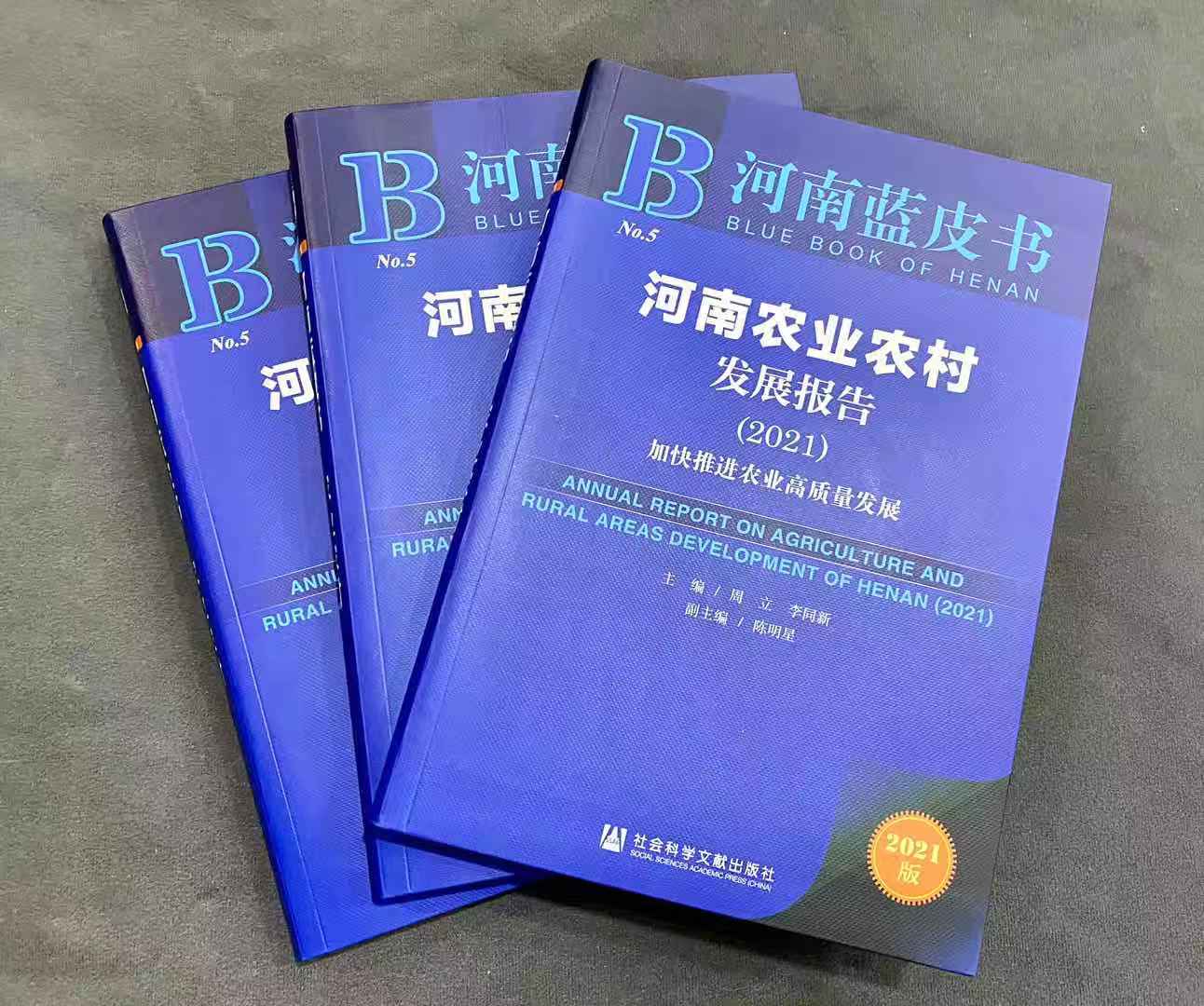 河南發(fā)布農(nóng)業(yè)農(nóng)村發(fā)展報(bào)告：糧食總產(chǎn)量連續(xù)四年穩(wěn)定在1300億斤以上
