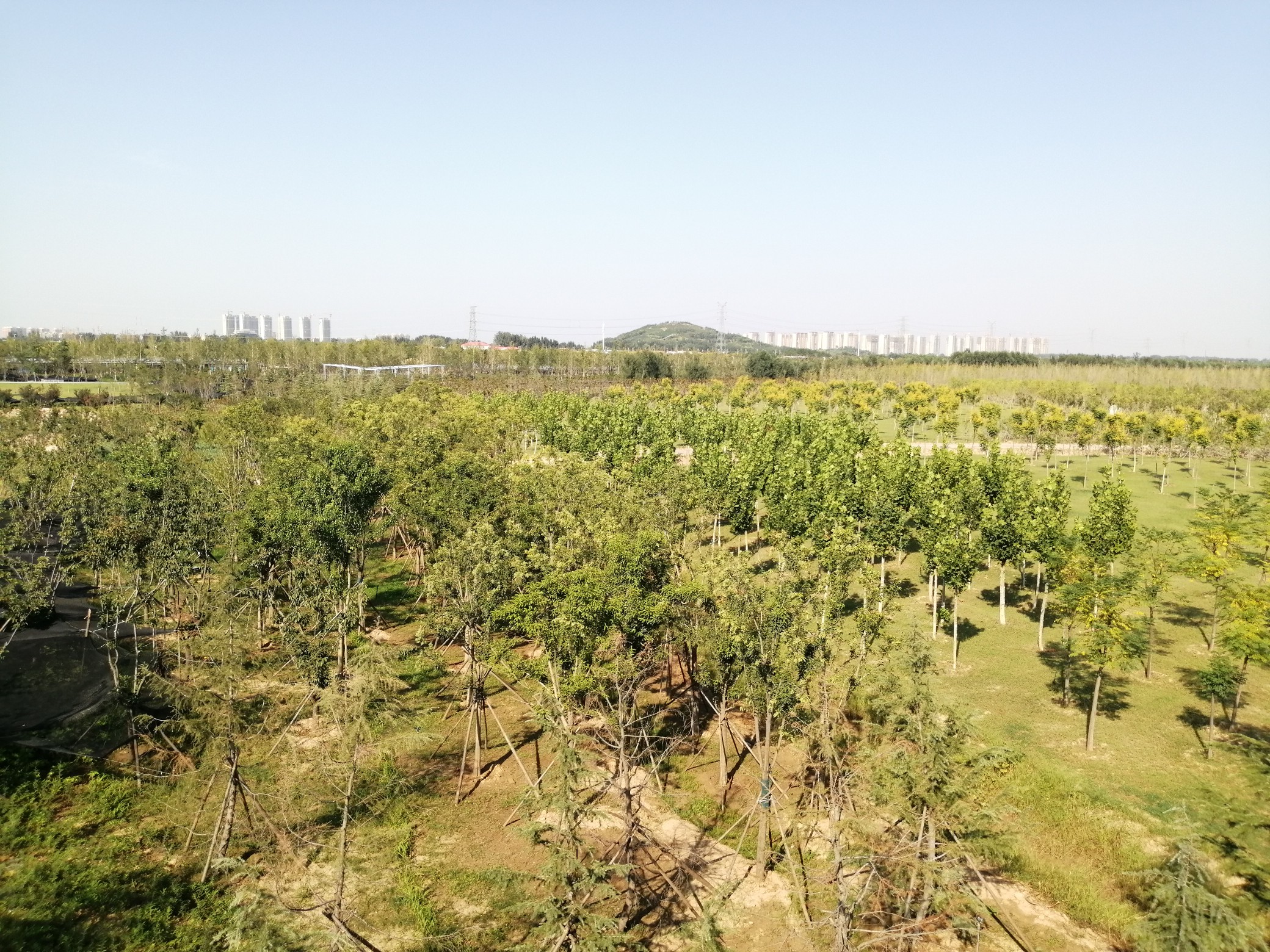 森林公园|郑州开封之间要建万亩森林公园？有山、有水、有森林