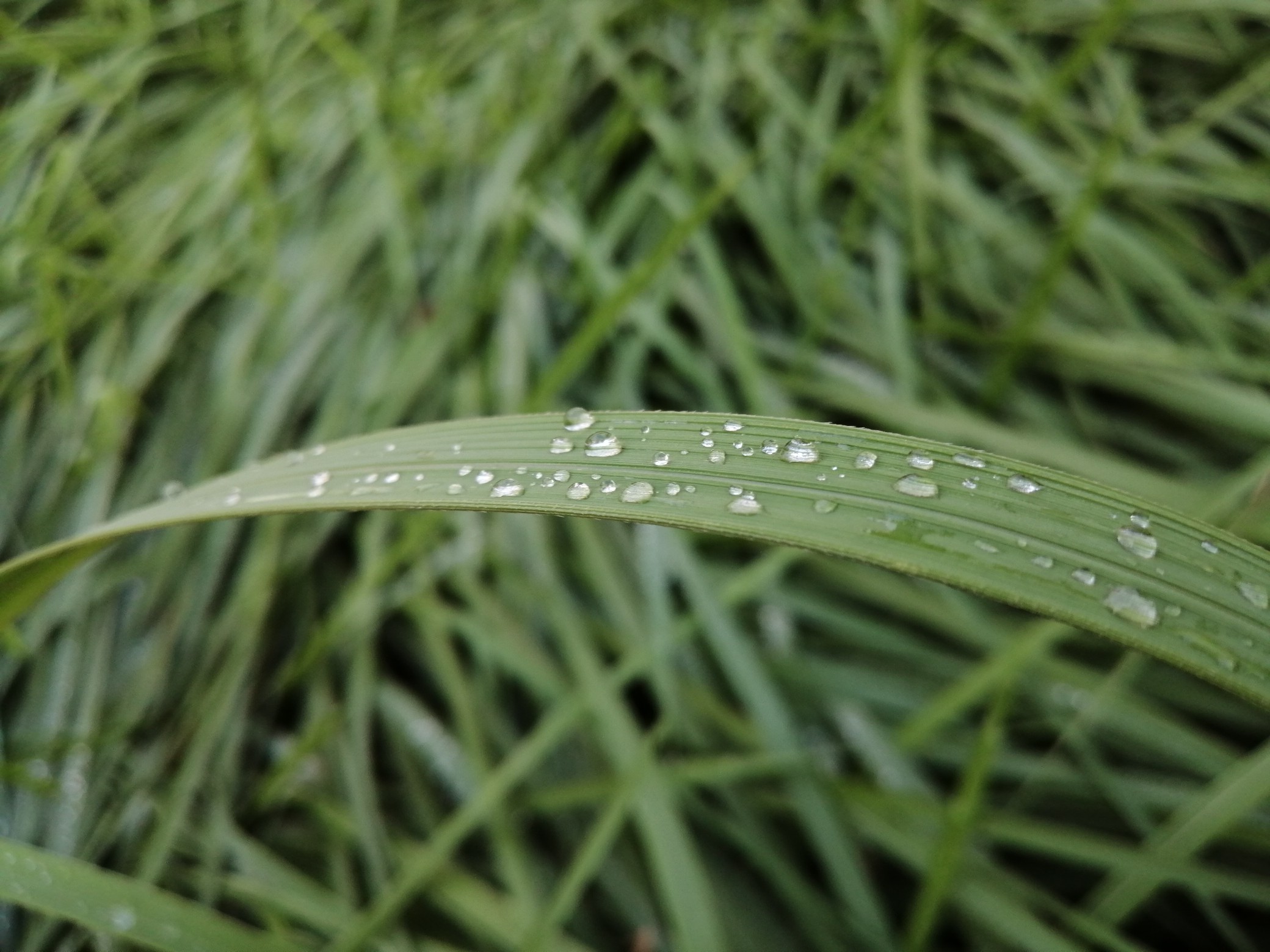 黄河|白天又要下雨? 黄河以北有雨、郑州要到晚上了