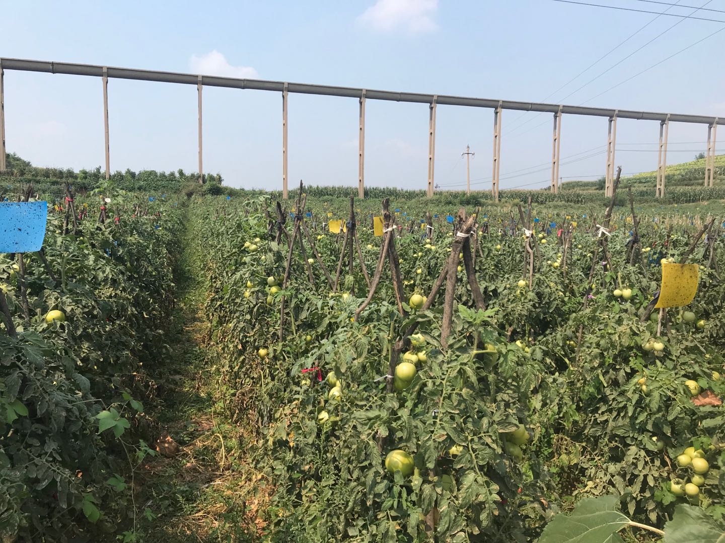 微信图片_20180912001333