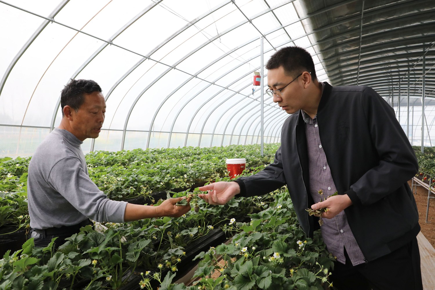 『第一书记』温县牛洼村联名呼吁驻村第一书记留任，看看因为啥