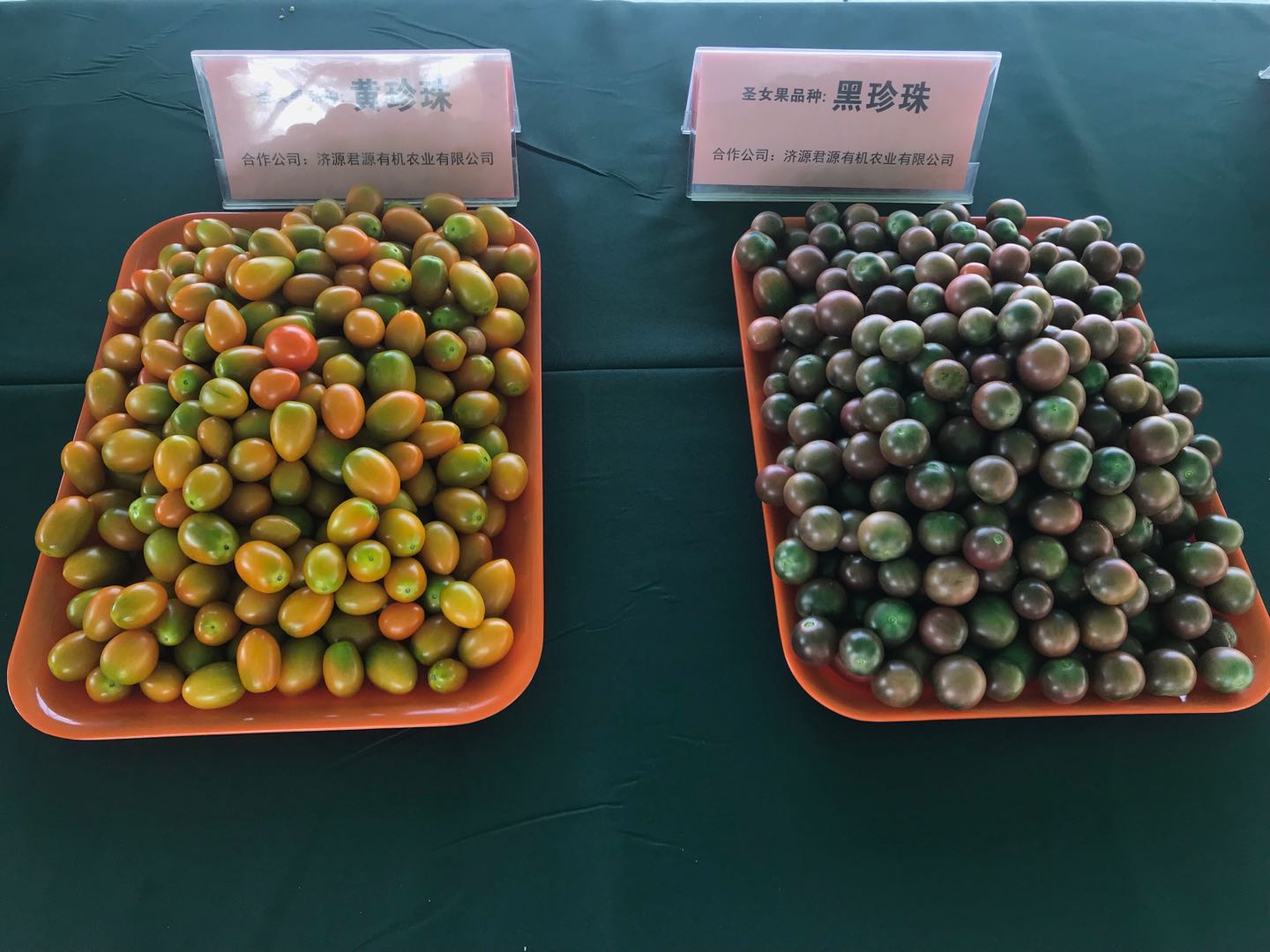 微信图片_20180912001243